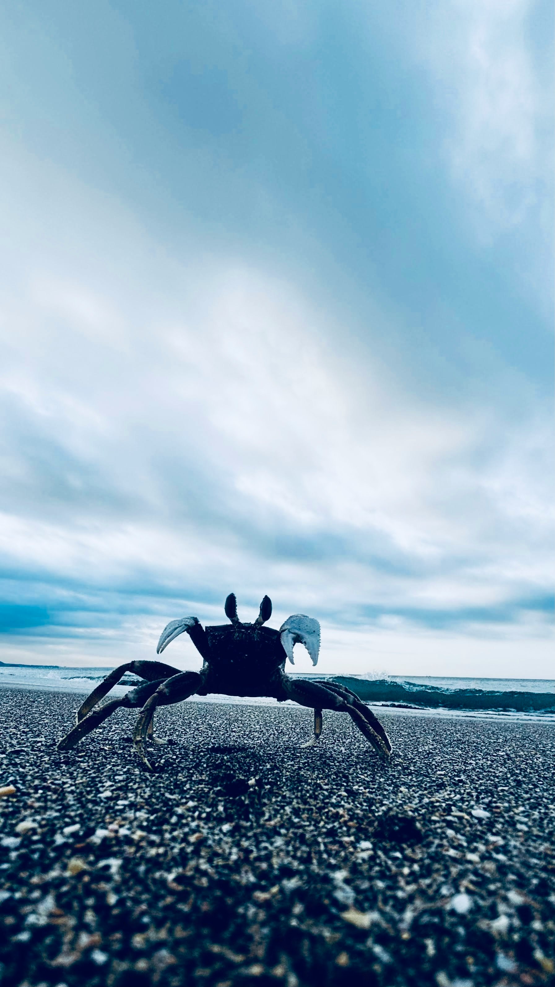 砂浜の上で空を見上げる人のシルエット