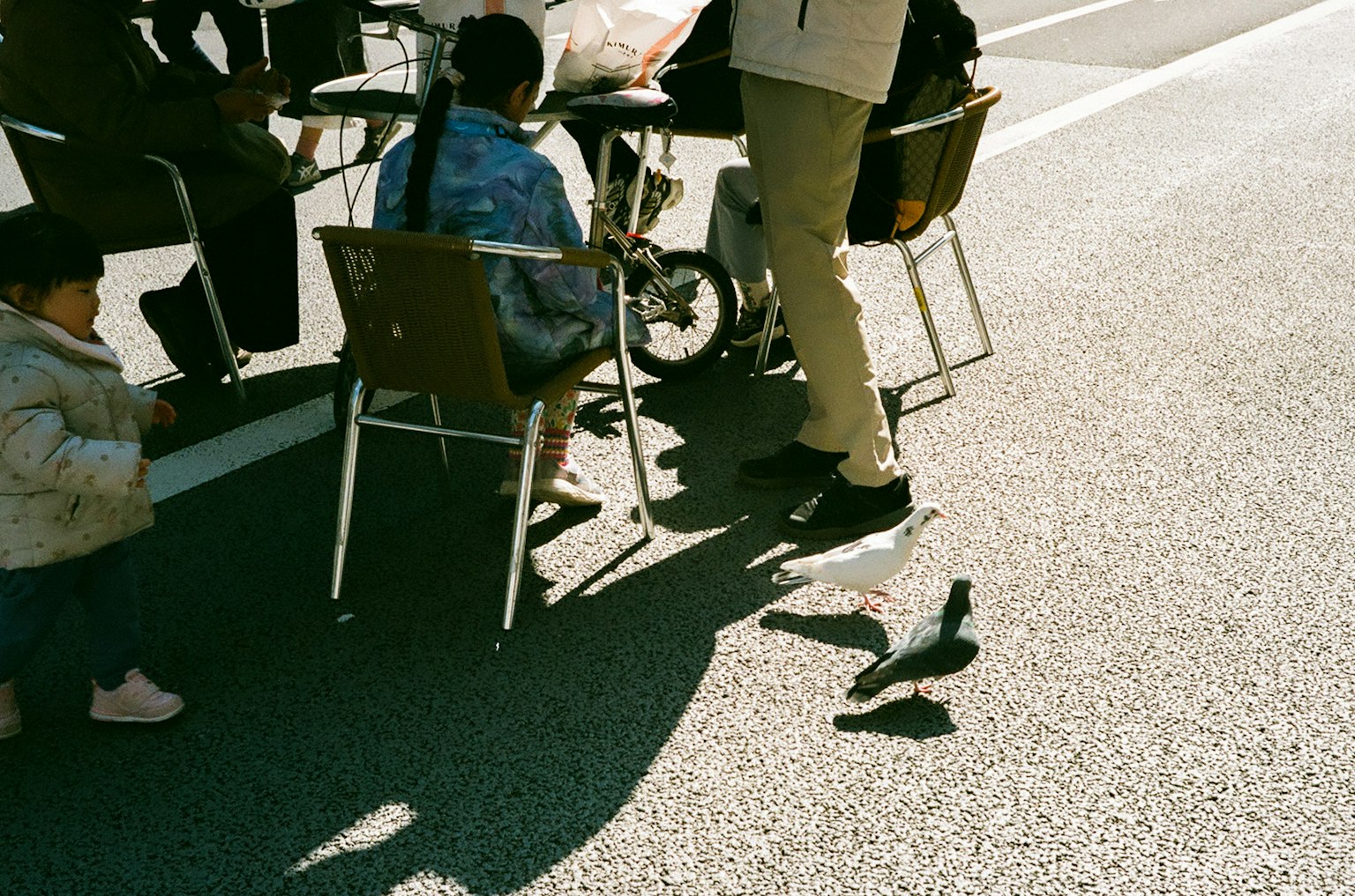 Una escena en un parque con niños y adultos reunidos Un pájaro cerca