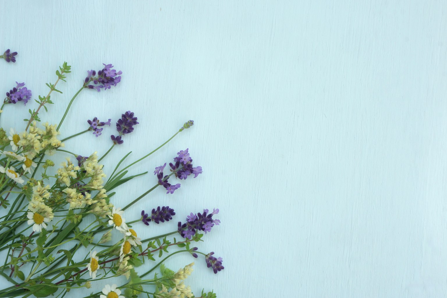 Lila und gelbe Blumen auf einem blauen Hintergrund angeordnet