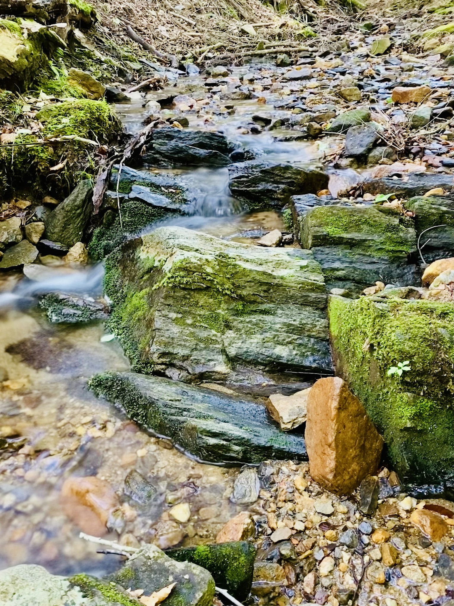 Scène naturelle d'un ruisseau traversant des rochers couverts de mousse