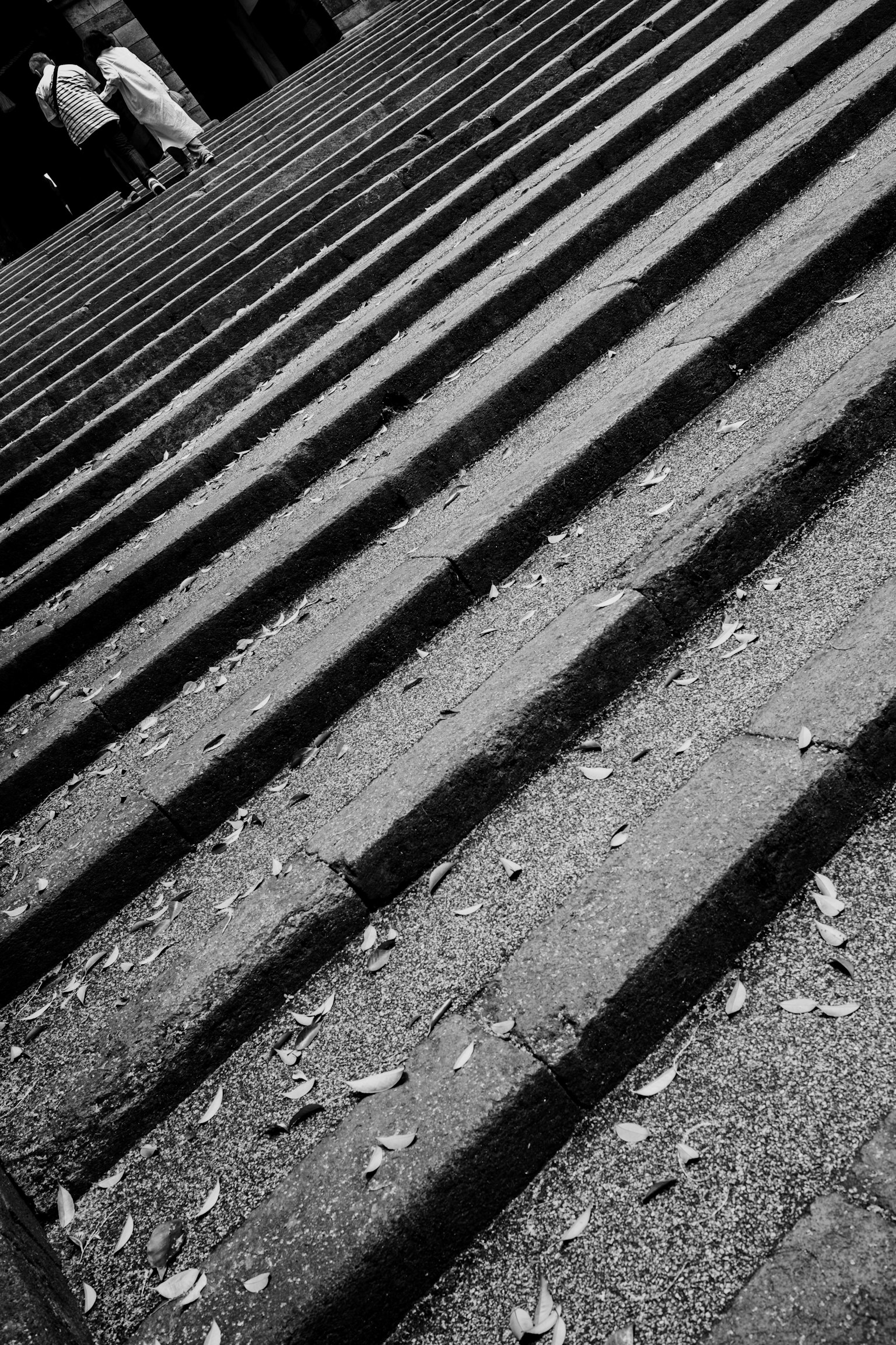 Immagine in bianco e nero di gradini inclinati con foglie sparse
