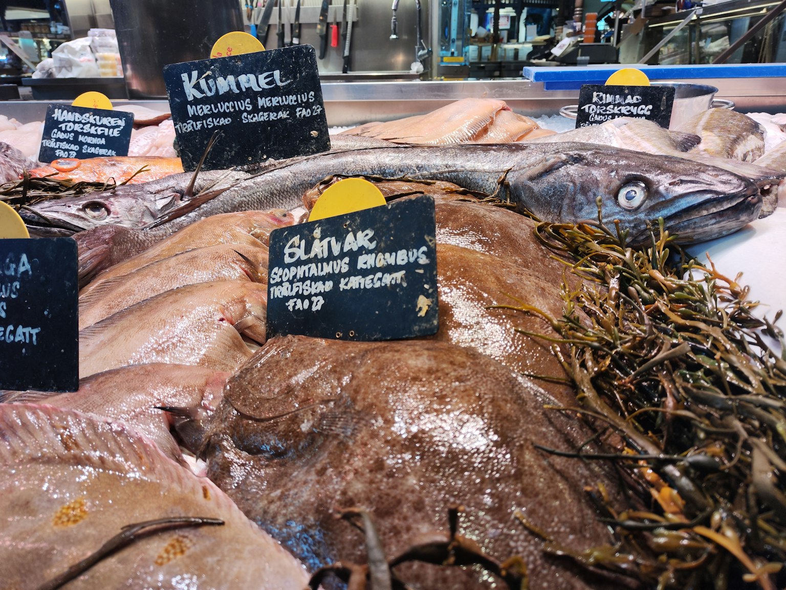 Fresh fish displayed at a market with black labels indicating fish names