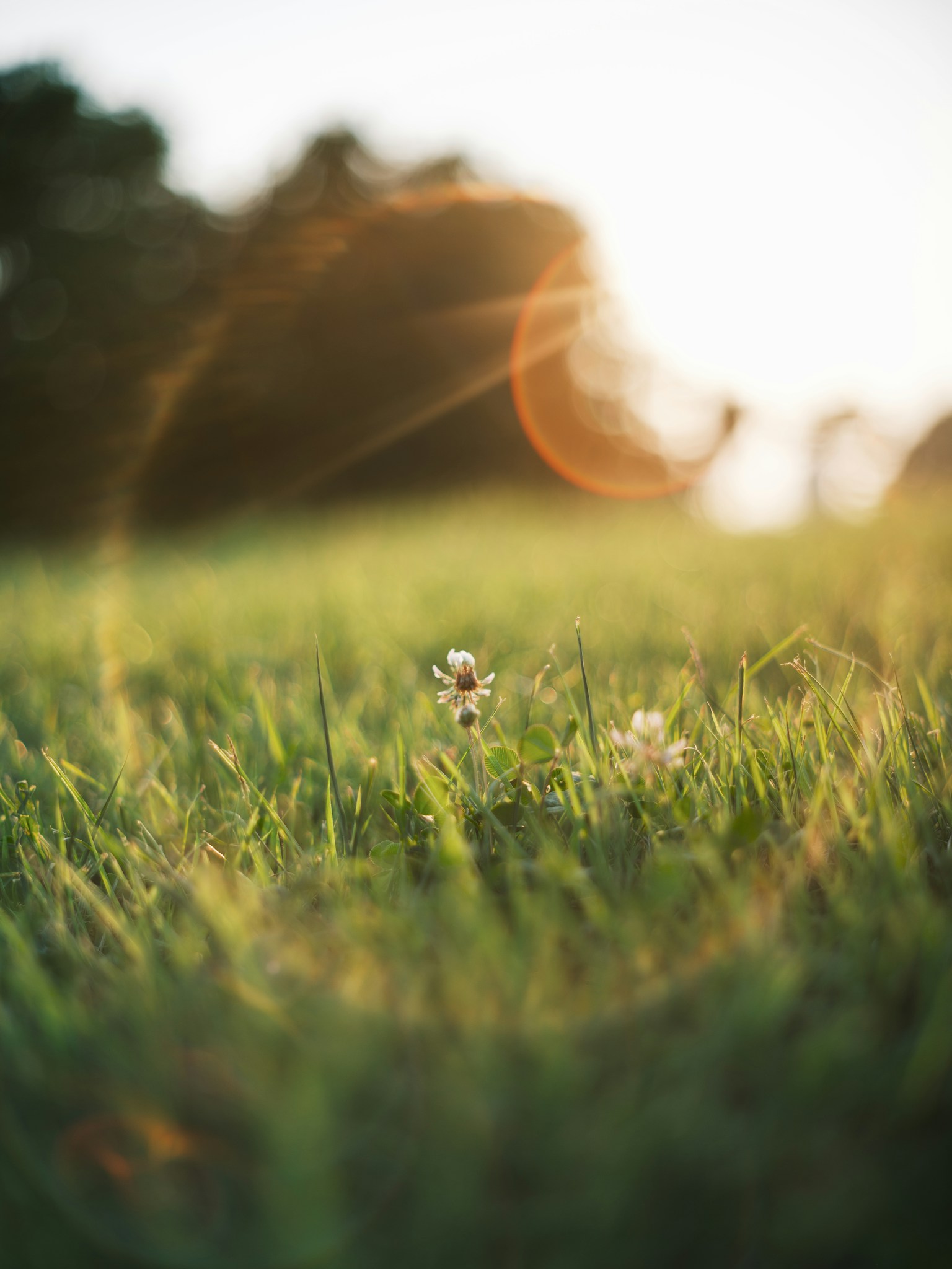 photo-F848T2K01rBhLQC5mwE2-image