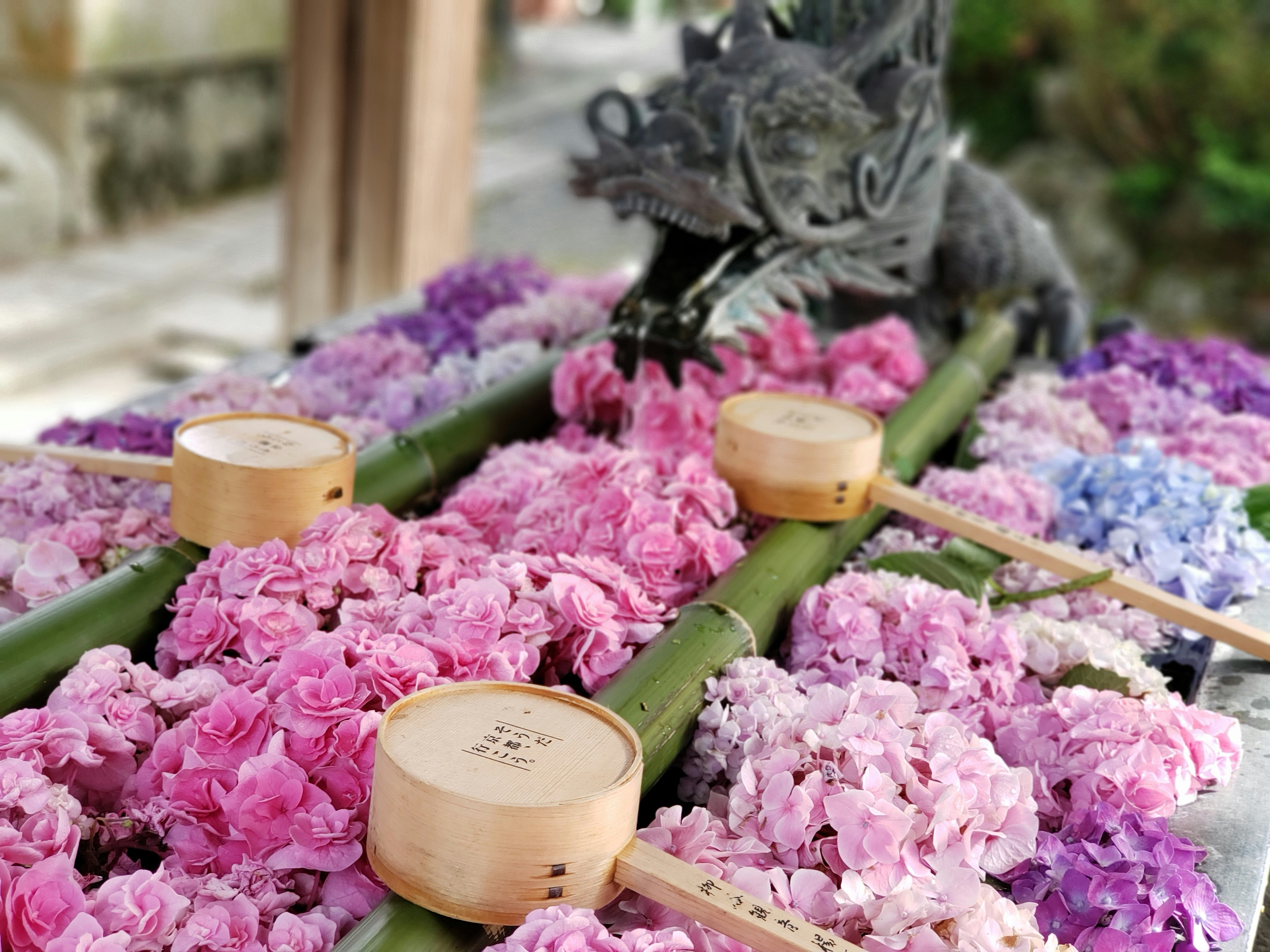 色とりどりの花びらが並ぶ花市場の花束