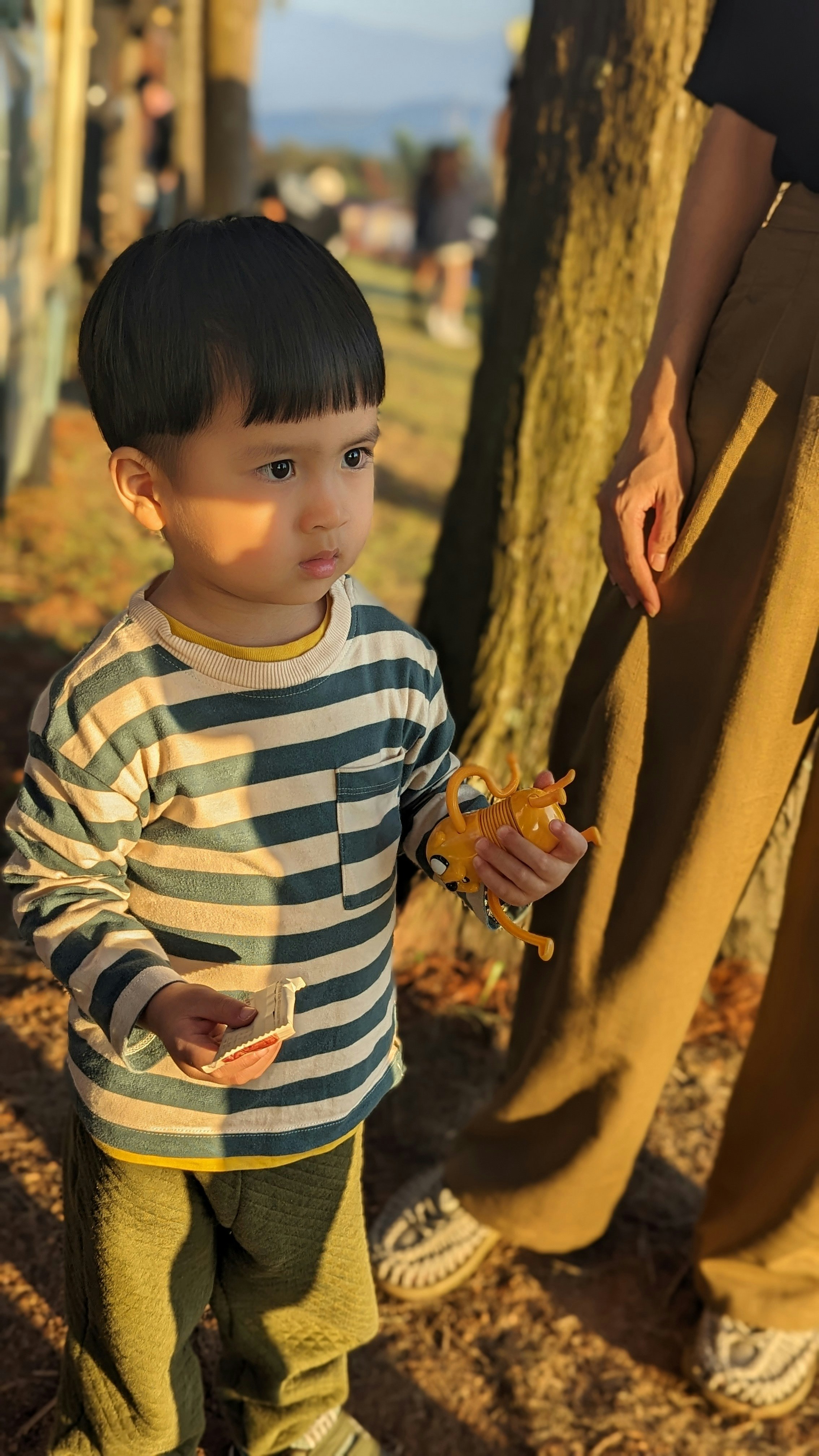 木の幹のそばで手を伸ばす子どもと大人の手