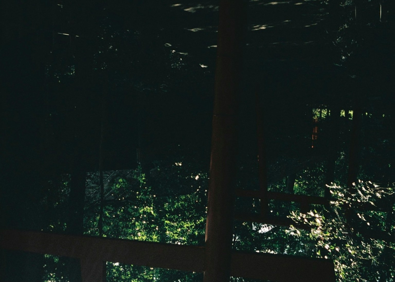 Dimly lit interior with reflections of green trees outside the window