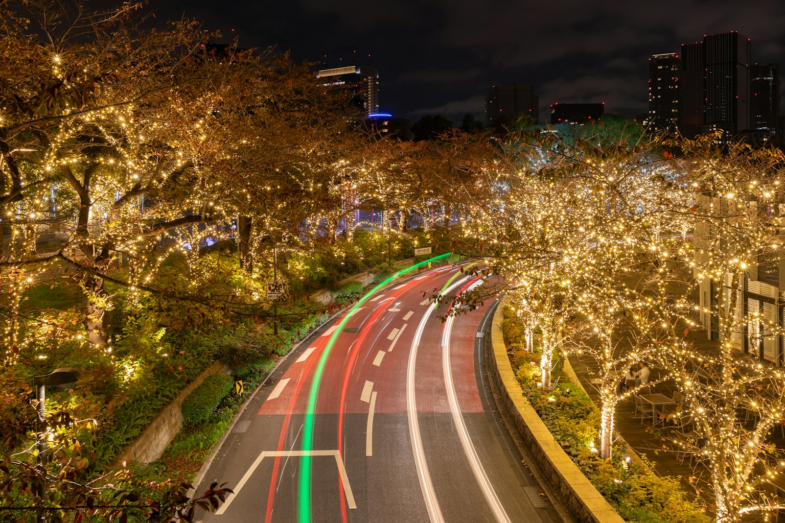 Arbres illuminés le long d'une route sinueuse la nuit avec des lumières de voiture en mouvement