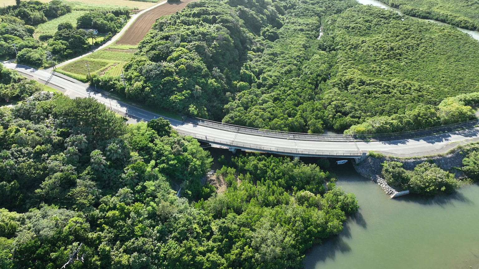 Aerial view of a curved bridge surrounded by lush greenery and a river
