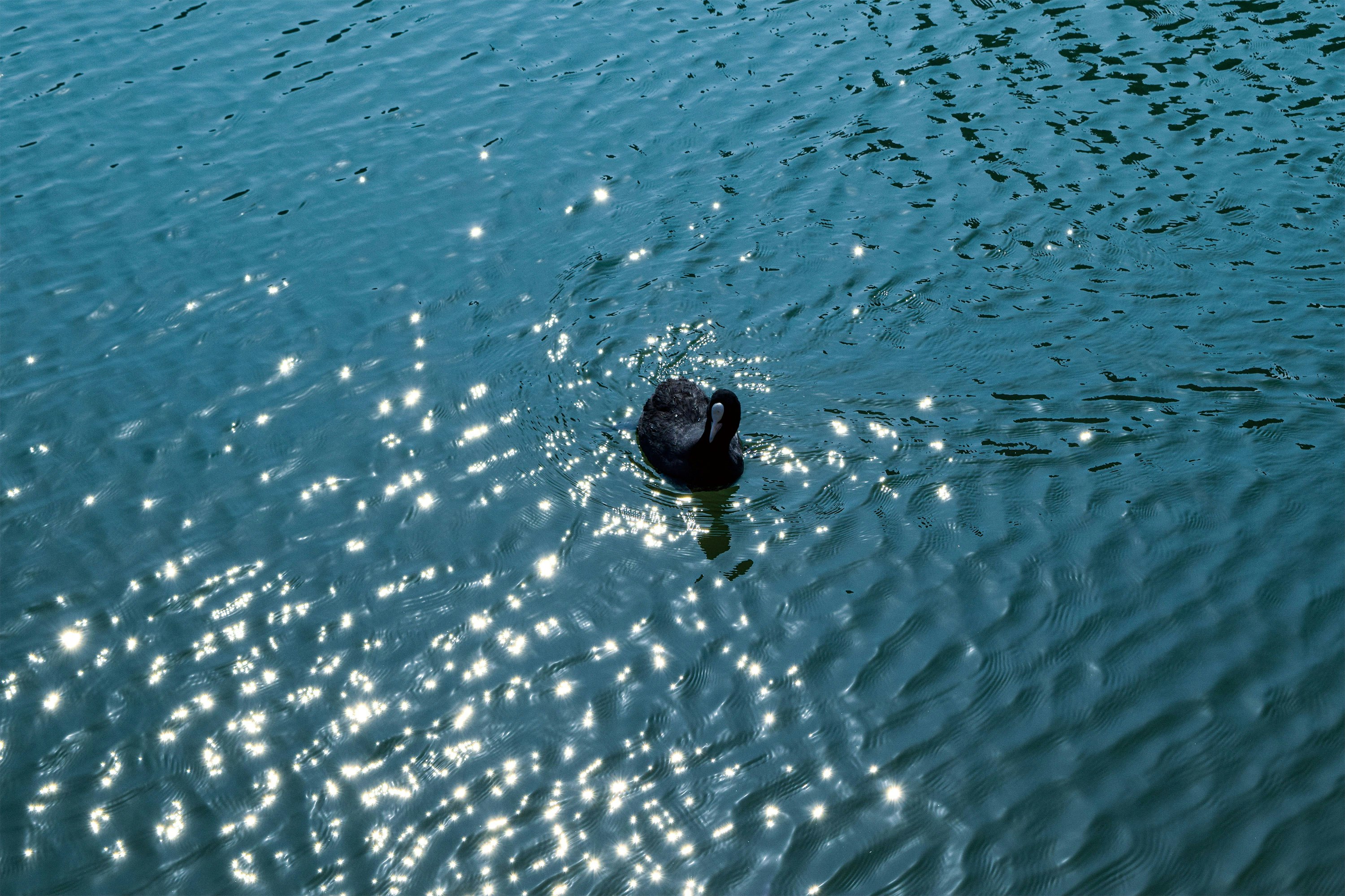 水面に浮かぶ黒いボートと波紋のある海の上の光