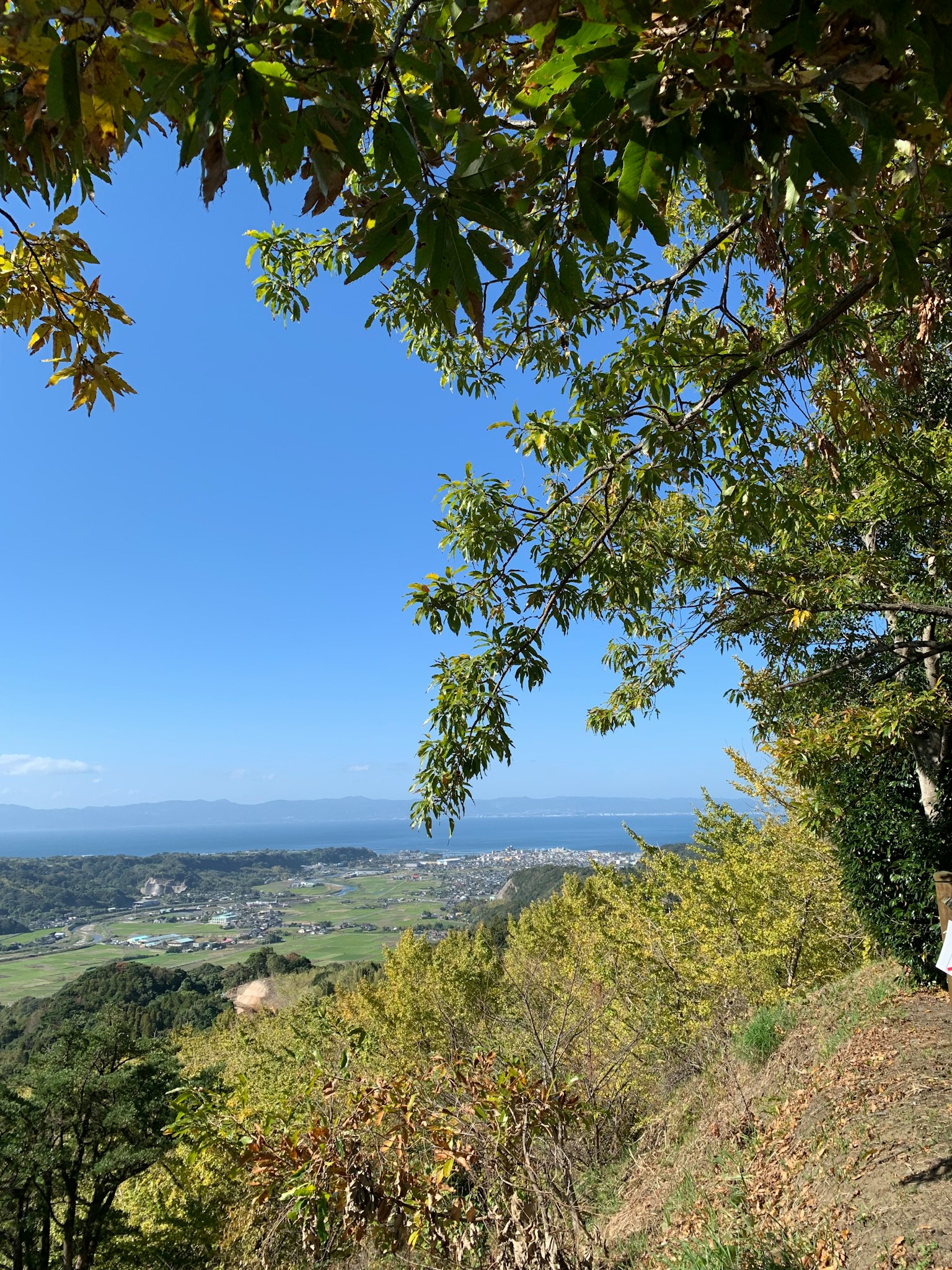 Schöne Landschaft mit blauem Himmel und grünen Bäumen