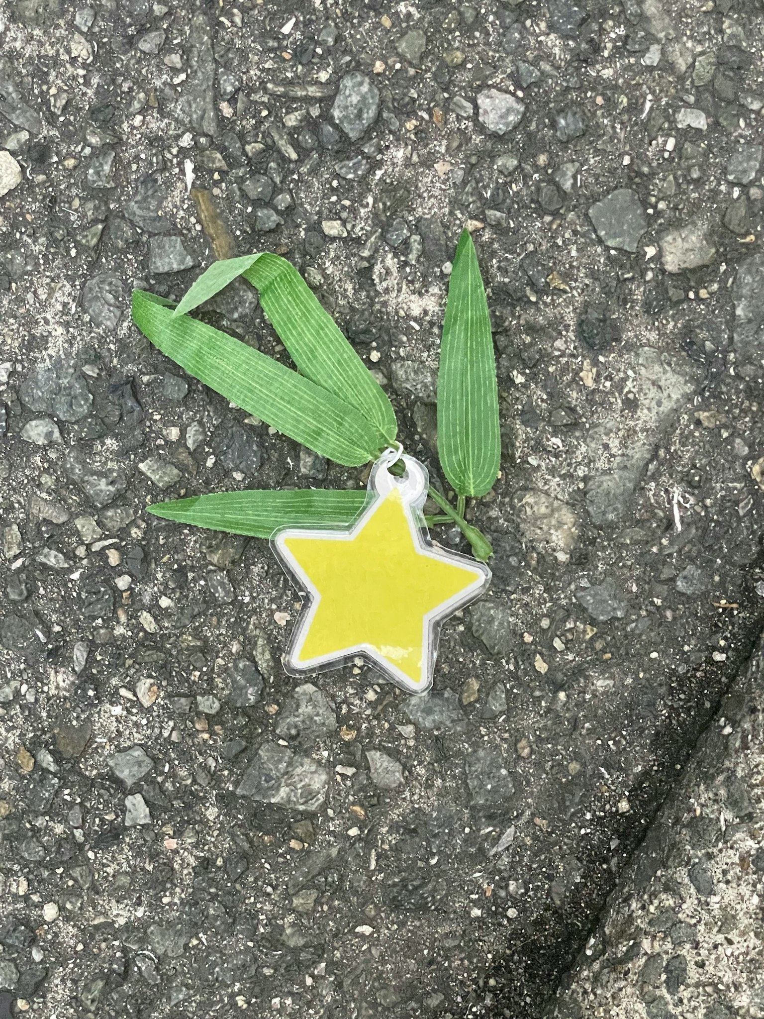 Oggetto a forma di stella gialla con foglie verdi sul terreno