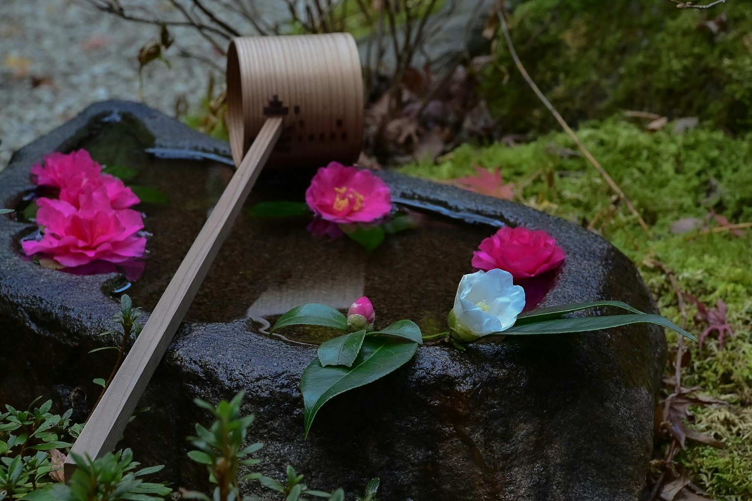 Una escena de jardín serena con flores flotantes y un mazo de madera sobre una piedra