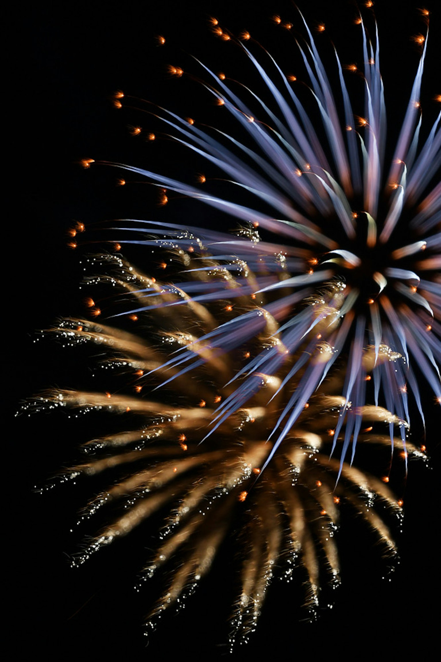 Bursting blue and gold fireworks in the night sky