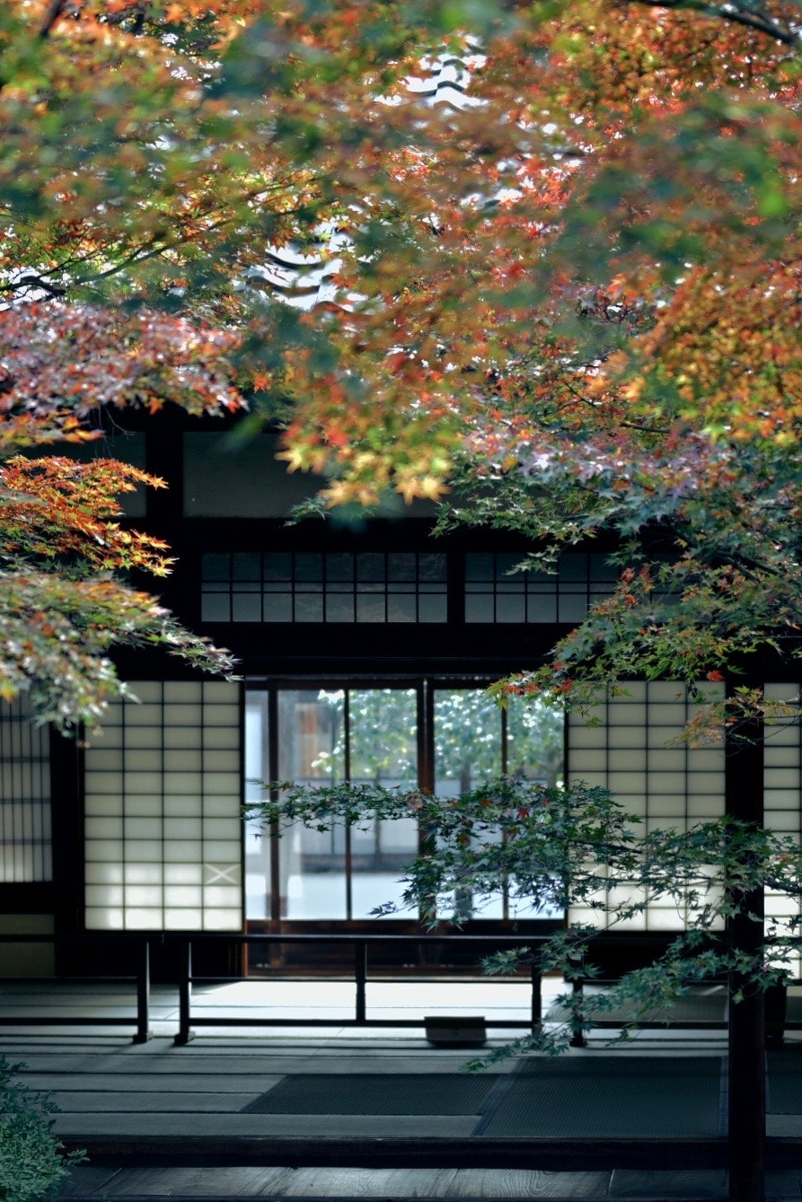 Kenchinji’s Chion Garden autumn foliage framing a garden gate