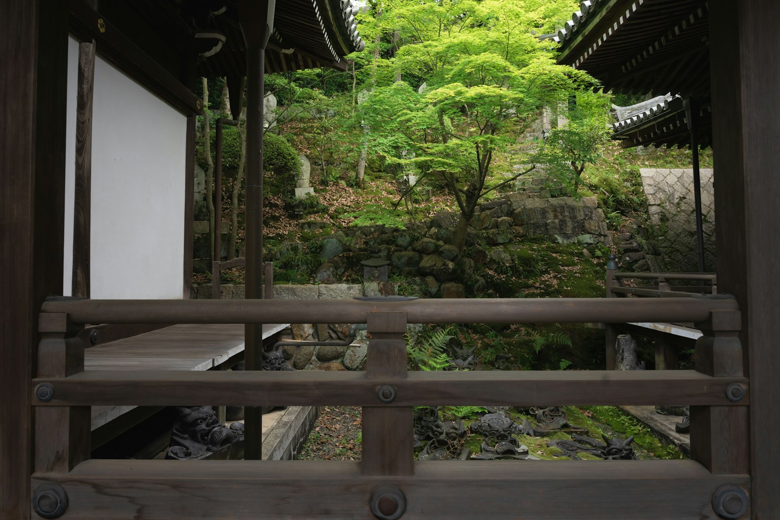 Holzgeländer mit Blick auf einen japanischen Garten mit üppigem Grün