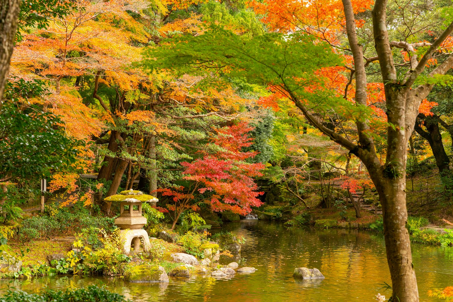 Schöner Herbstgarten mit Teich und buntem Laub