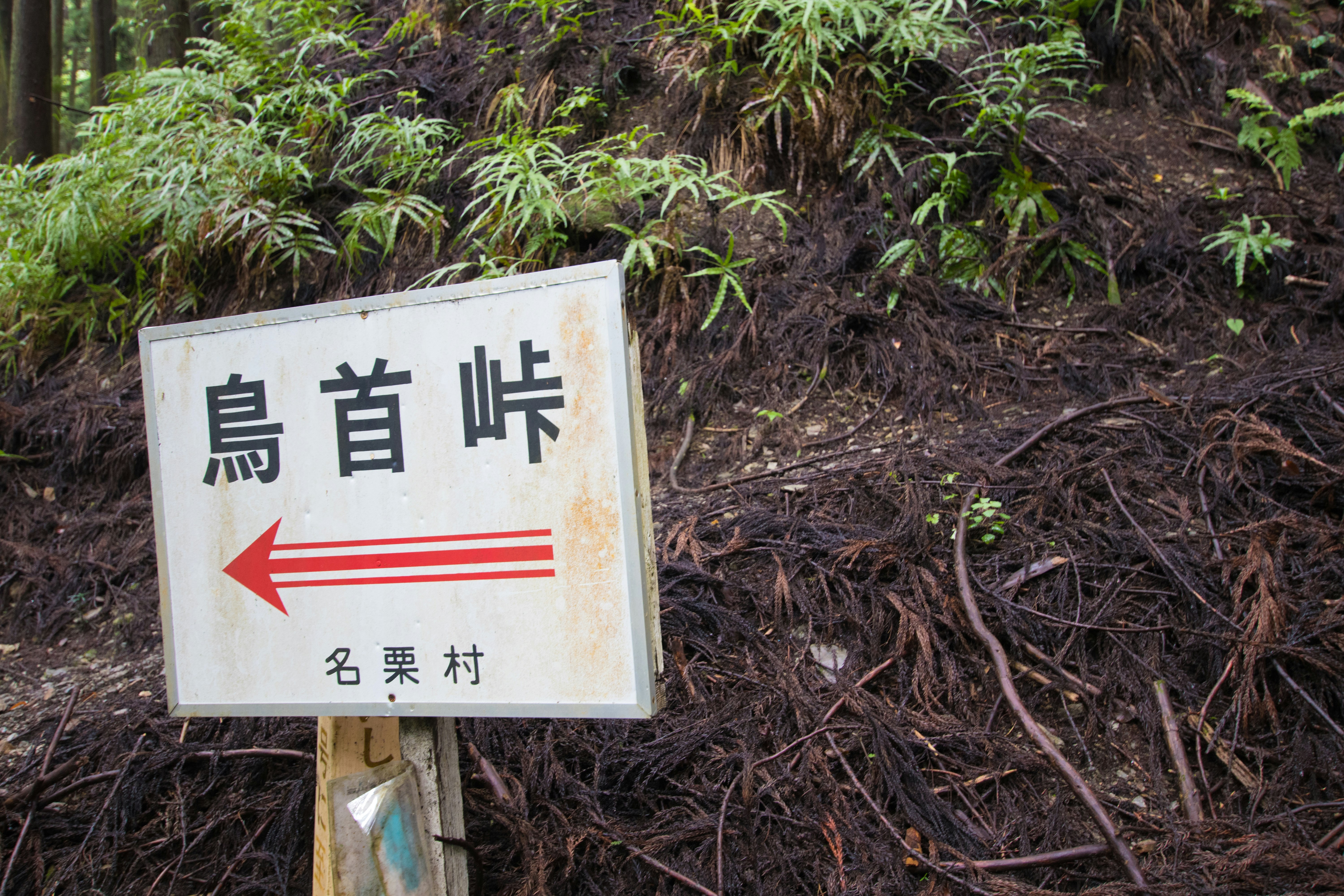 Biển chỉ đường tới Torikubi Pass và lối mòn trong rừng