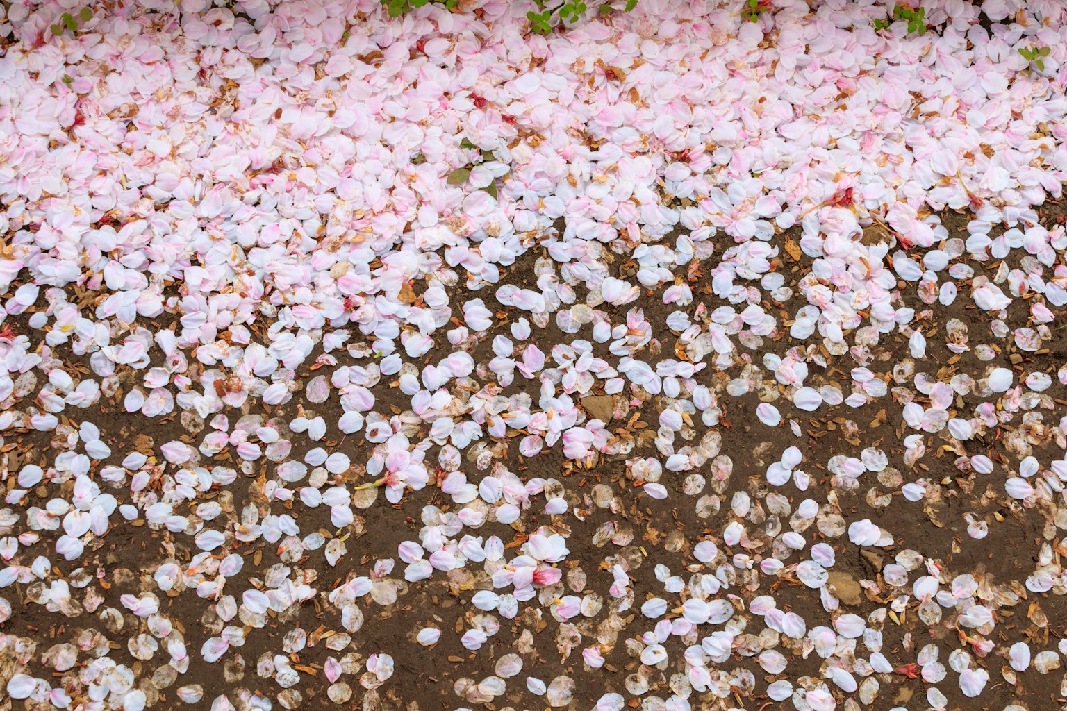 photo-FD0O02C9vOqTZFuXxmui-image