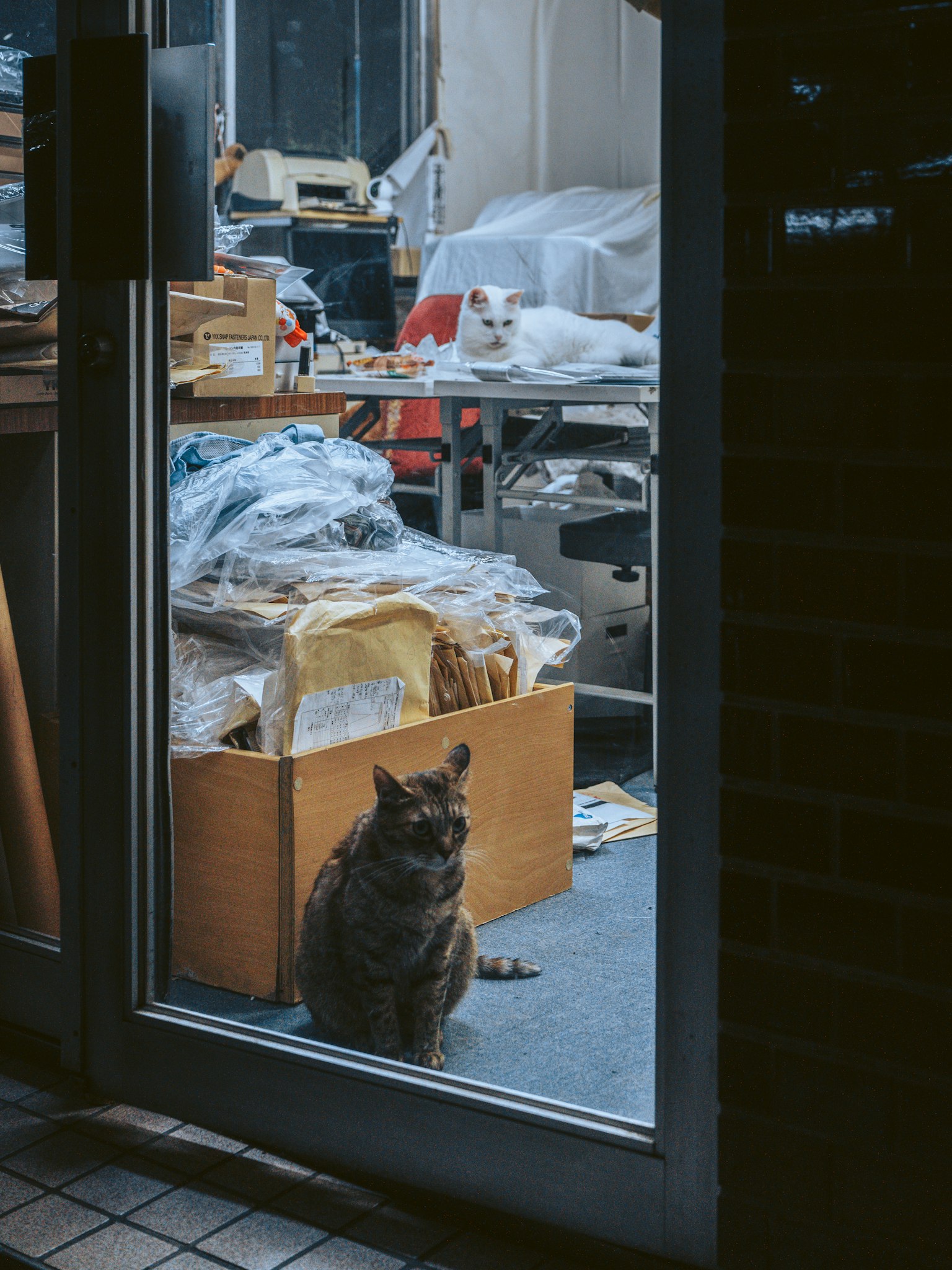 photo-FDHv5HulmtLtK2gpNMxA-image