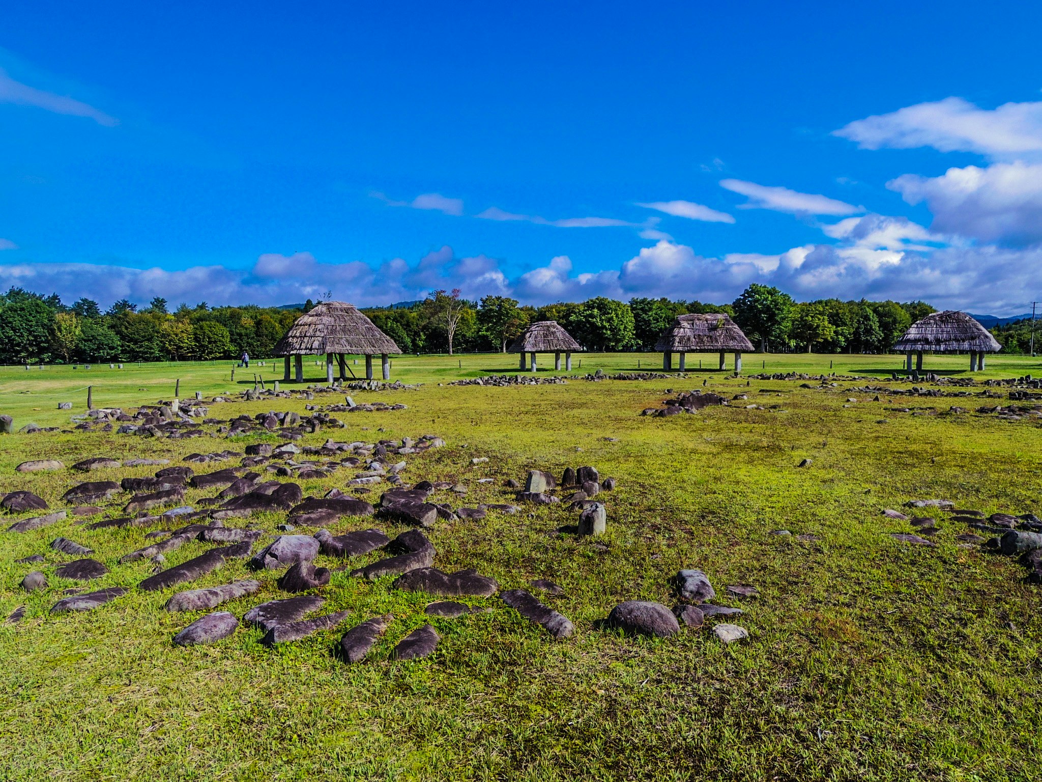 草地に並ぶ古代風の住居跡と石の輪