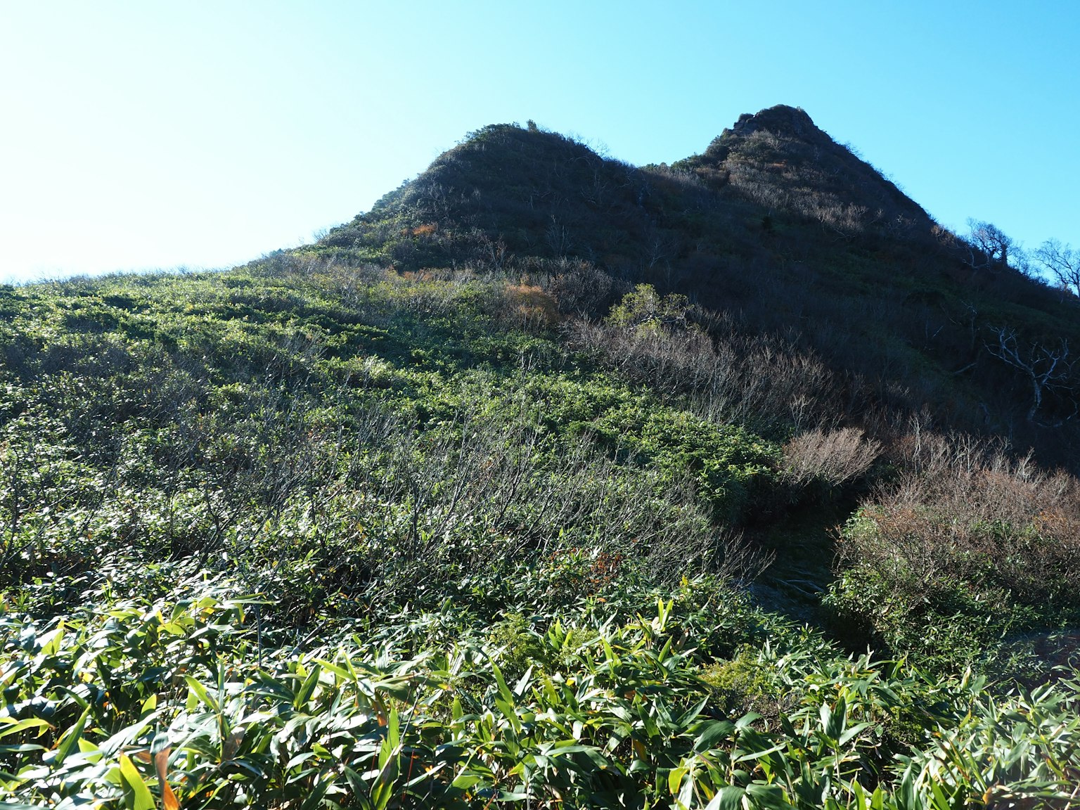 Colinas verdes bajo un cielo azul claro