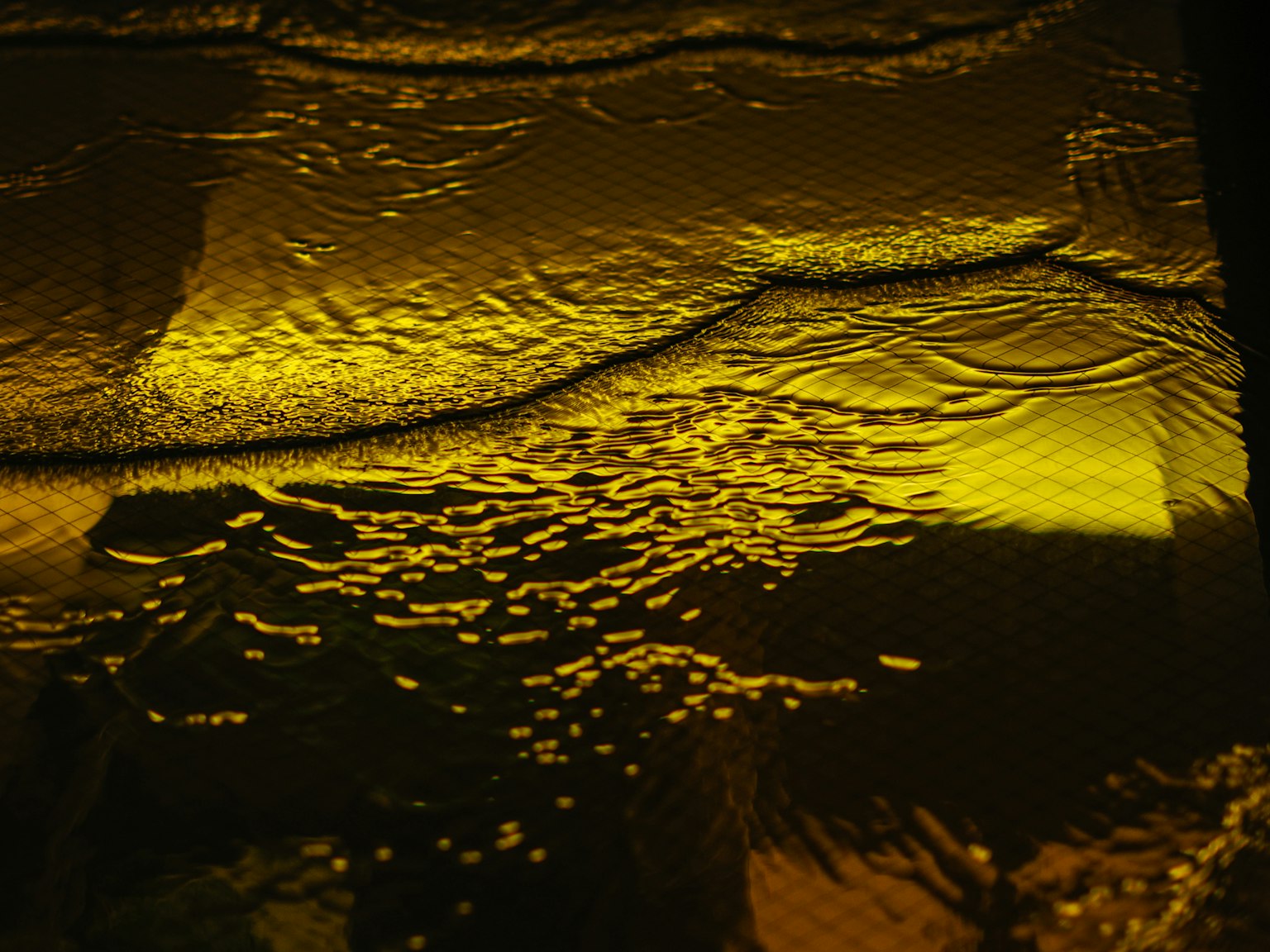 photo-FEc8cT2qvBgXn1AFQOMh-image