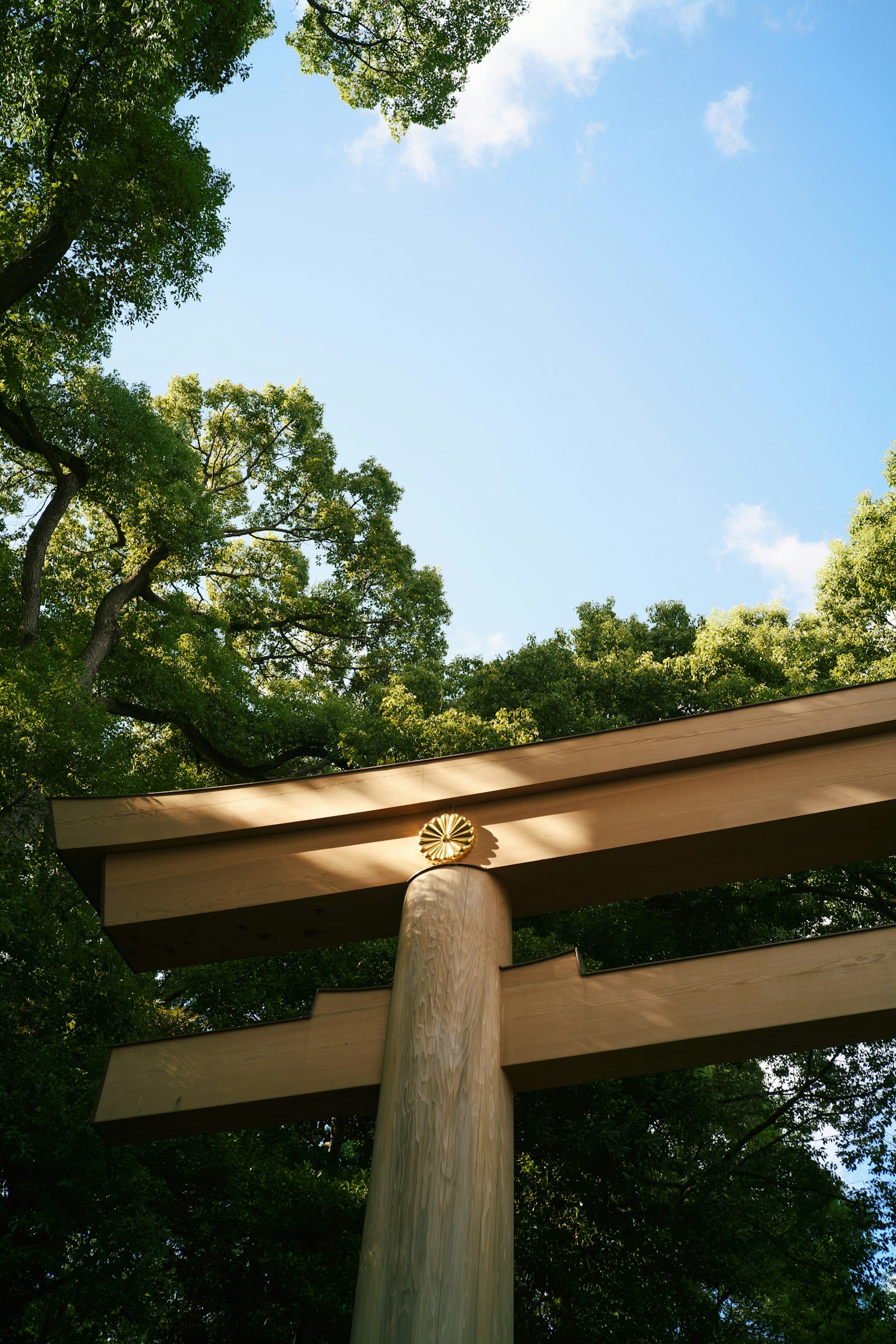 Góc nhìn từ dưới cổng torii được bao quanh bởi cây xanh và bầu trời xanh