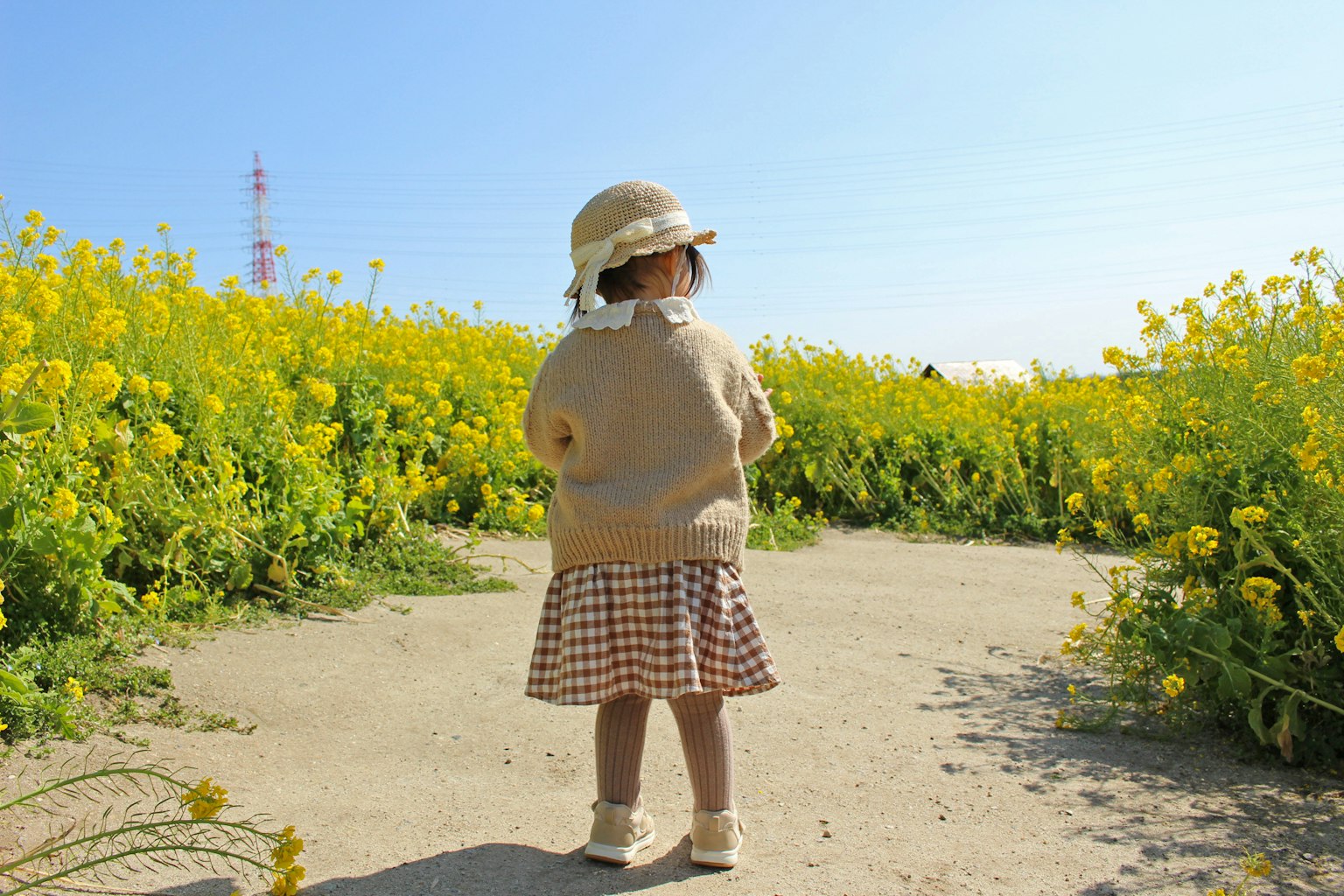 Bambino in piedi in un campo di fiori gialli con un cappello