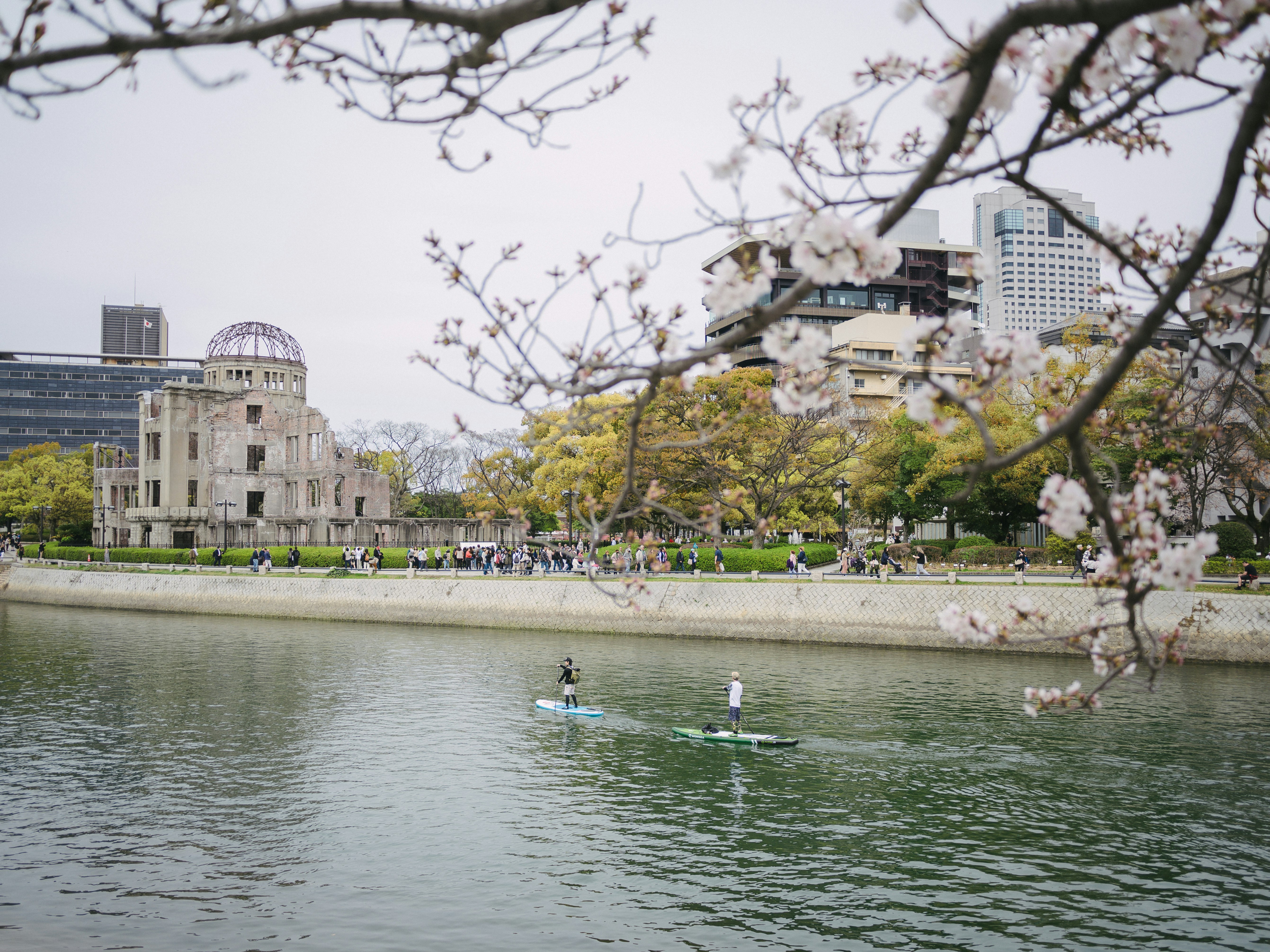桜の枝越しに広がる平和記念公園の水辺と市街地