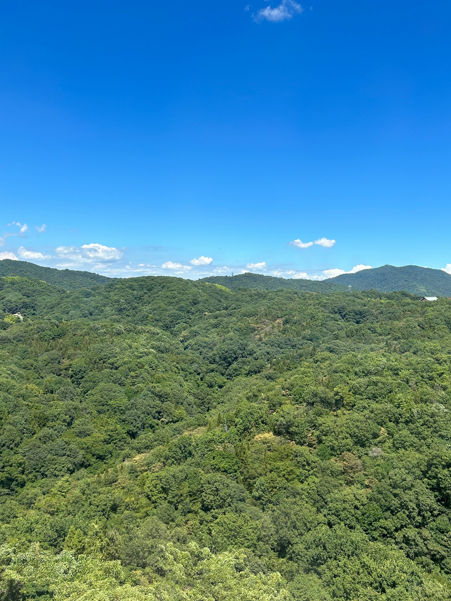 Lush green mountains under a clear blue sky