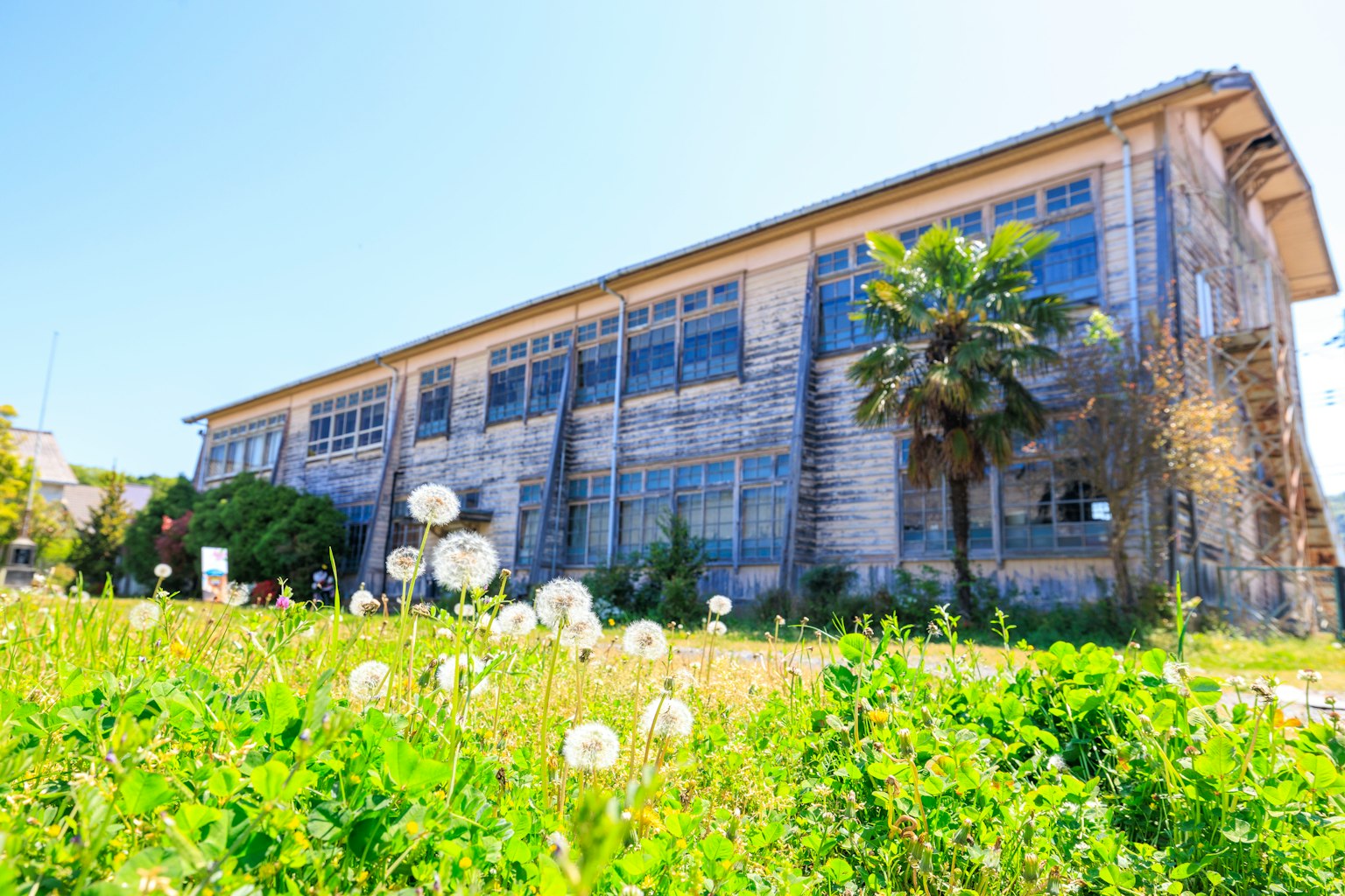 Exterior of an old factory building surrounded by greenery and dandelions