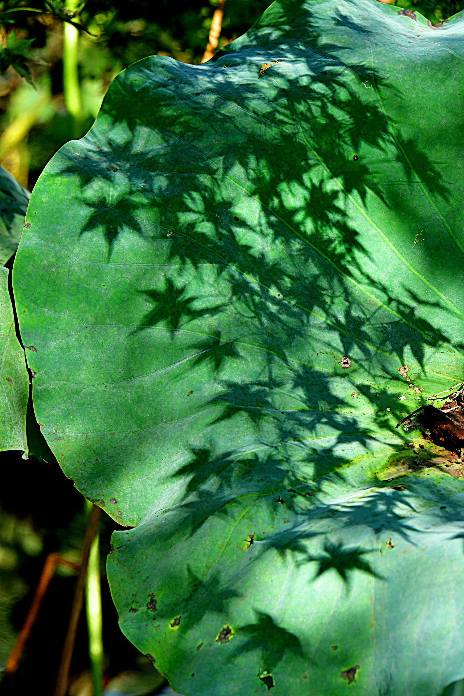 photo-FFgbnZBpQCgoPMTckz7u-image
