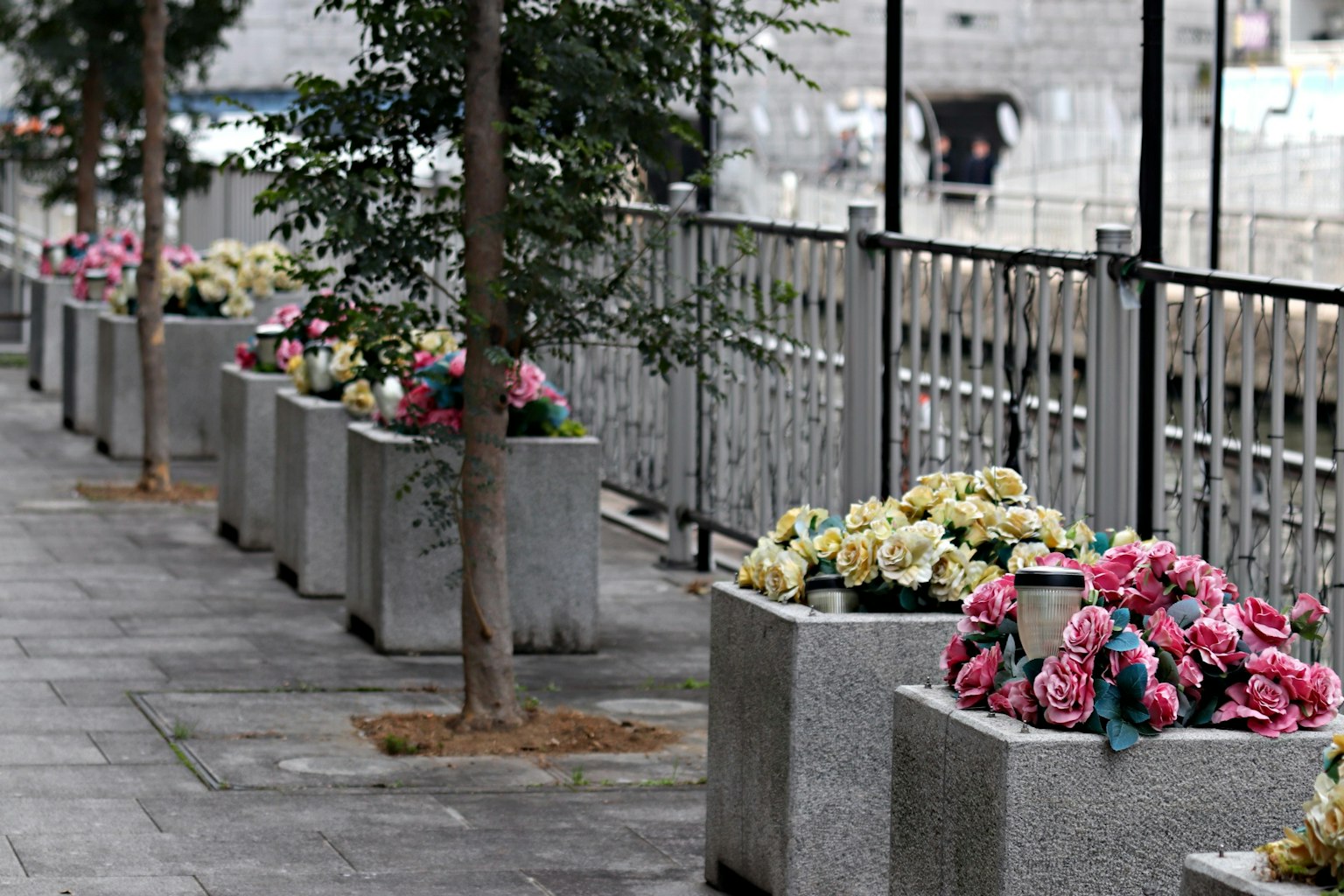 Blumenkübel und kleine Bäume entlang einer Stadtstraße