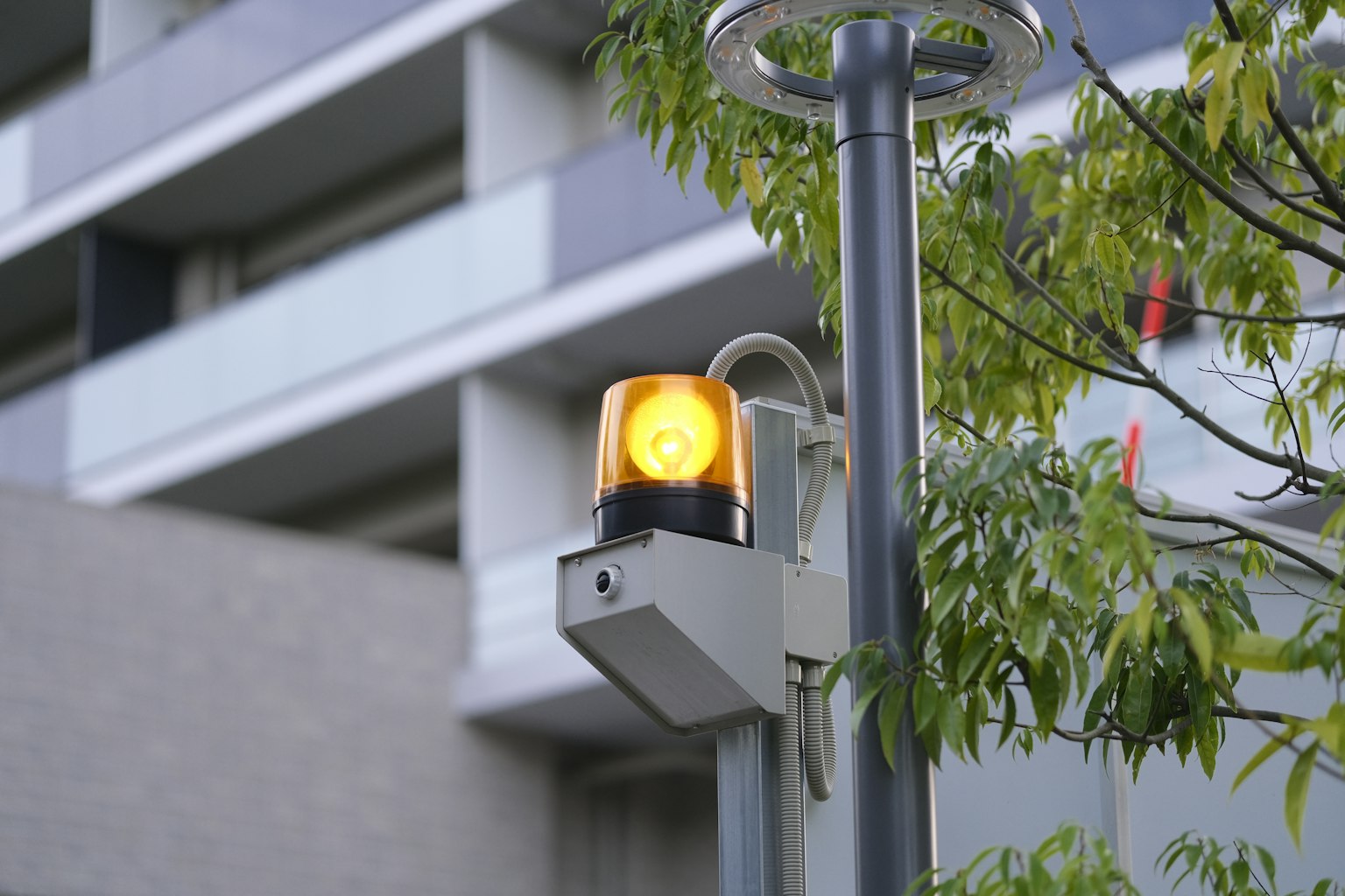 Gelbes Licht auf einem Straßenlaterne mit umgebenden Bäumen