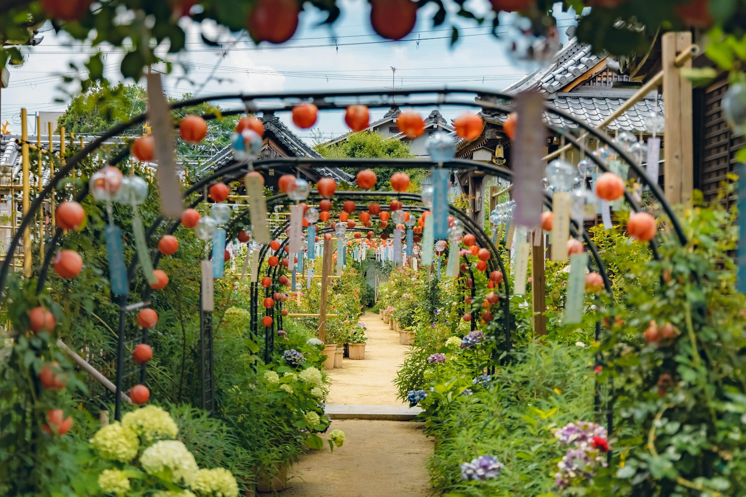 Bellissimo sentiero di giardino fiancheggiato da fiori colorati e decorazioni arancioni