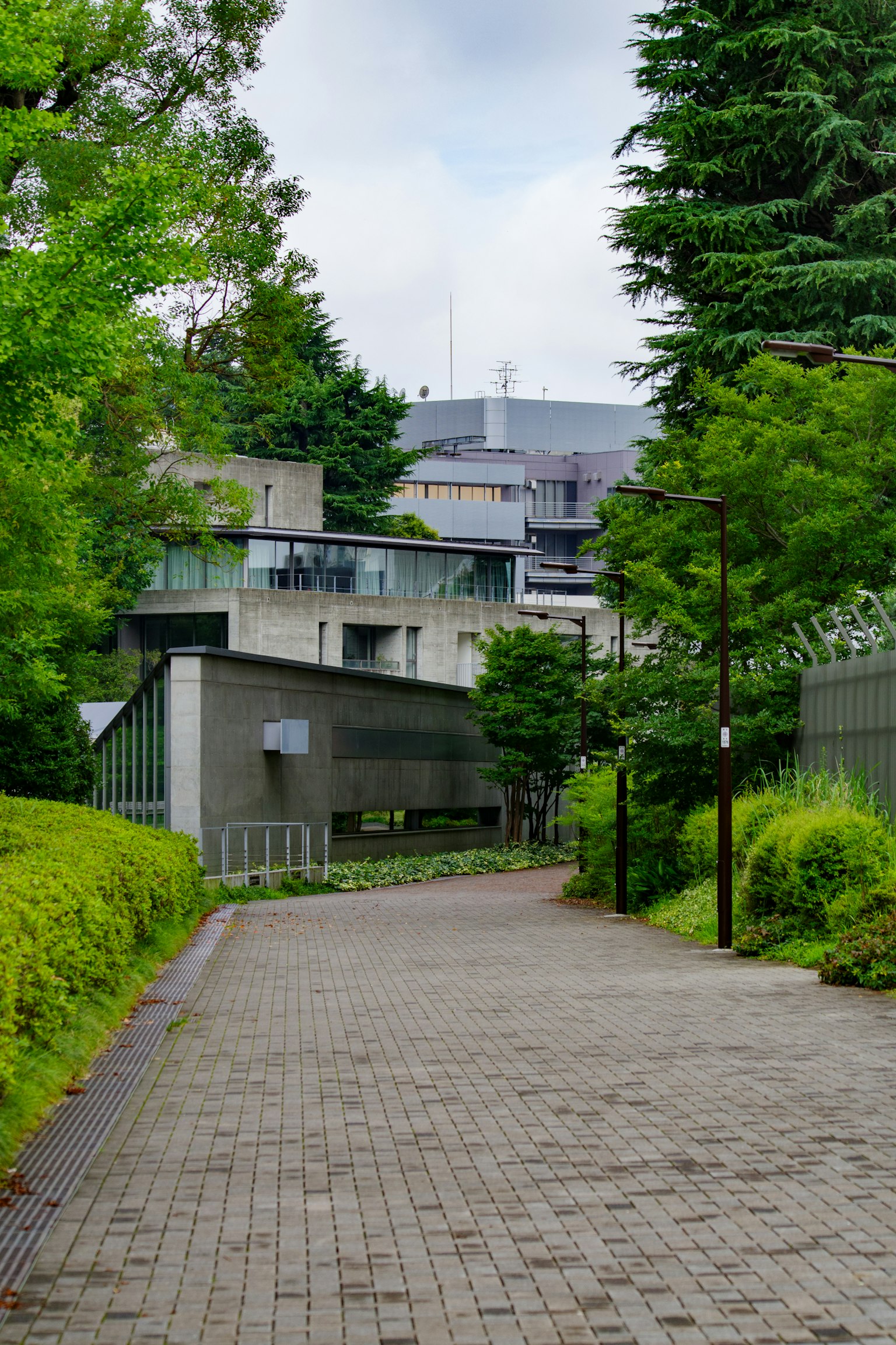 Sentiero tranquillo circondato da vegetazione e architettura moderna
