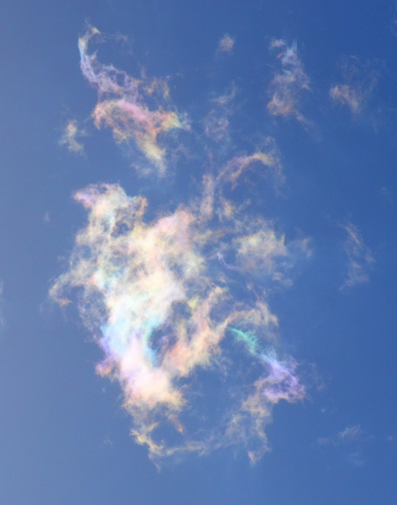 Ein Cluster irideszenter Wolken in einem blauen Himmel