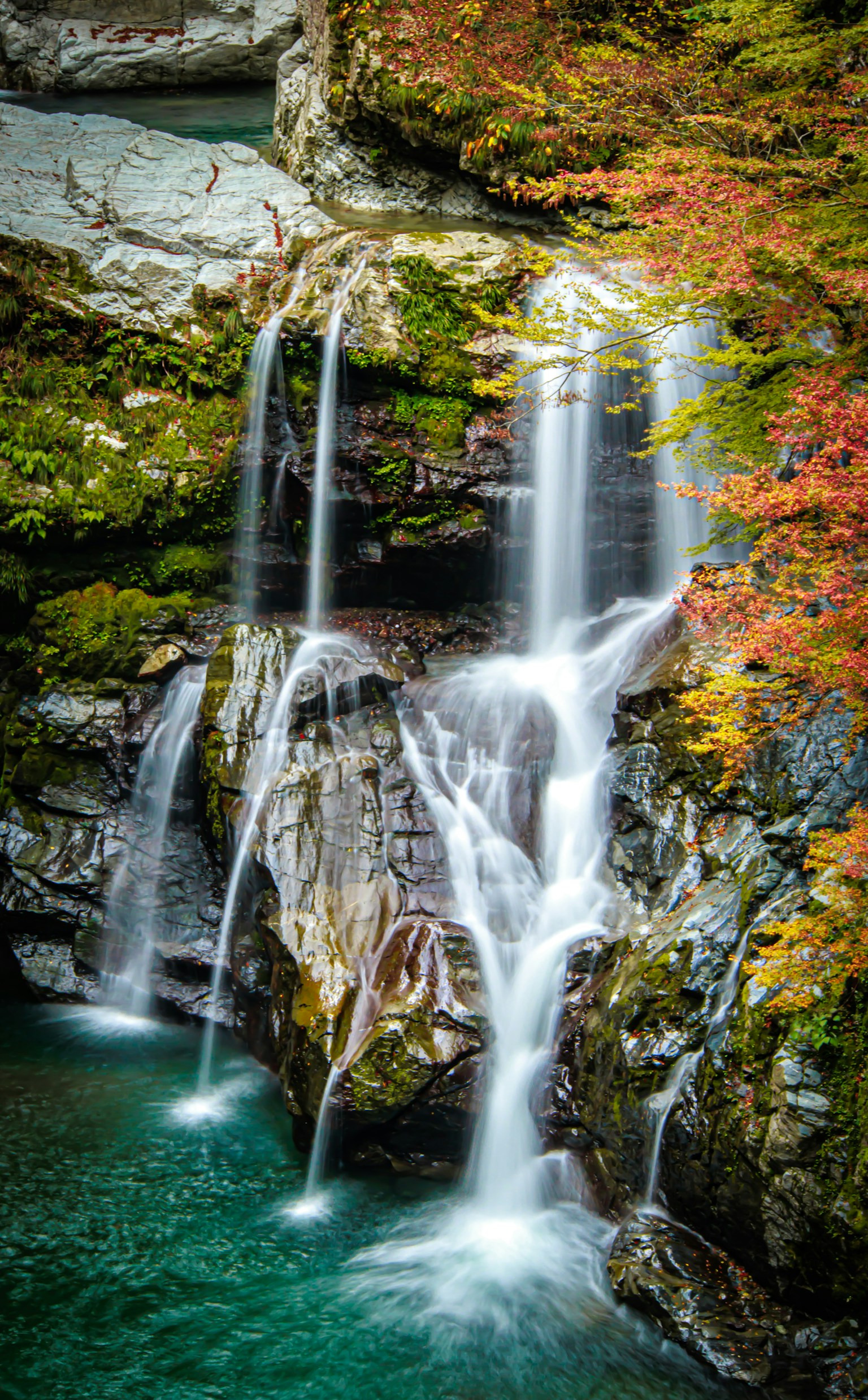 Belle cascade entourée de feuillage d'automne coloré