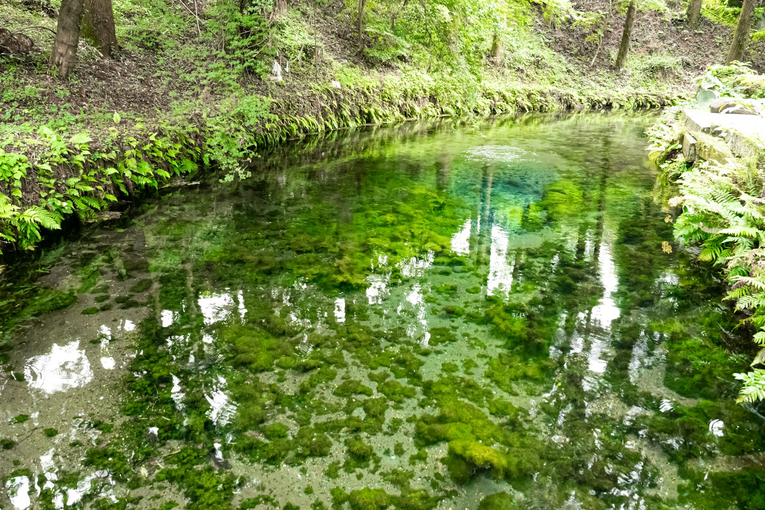 photo-FHgZEVBK6Xnve5nkOVI4-image