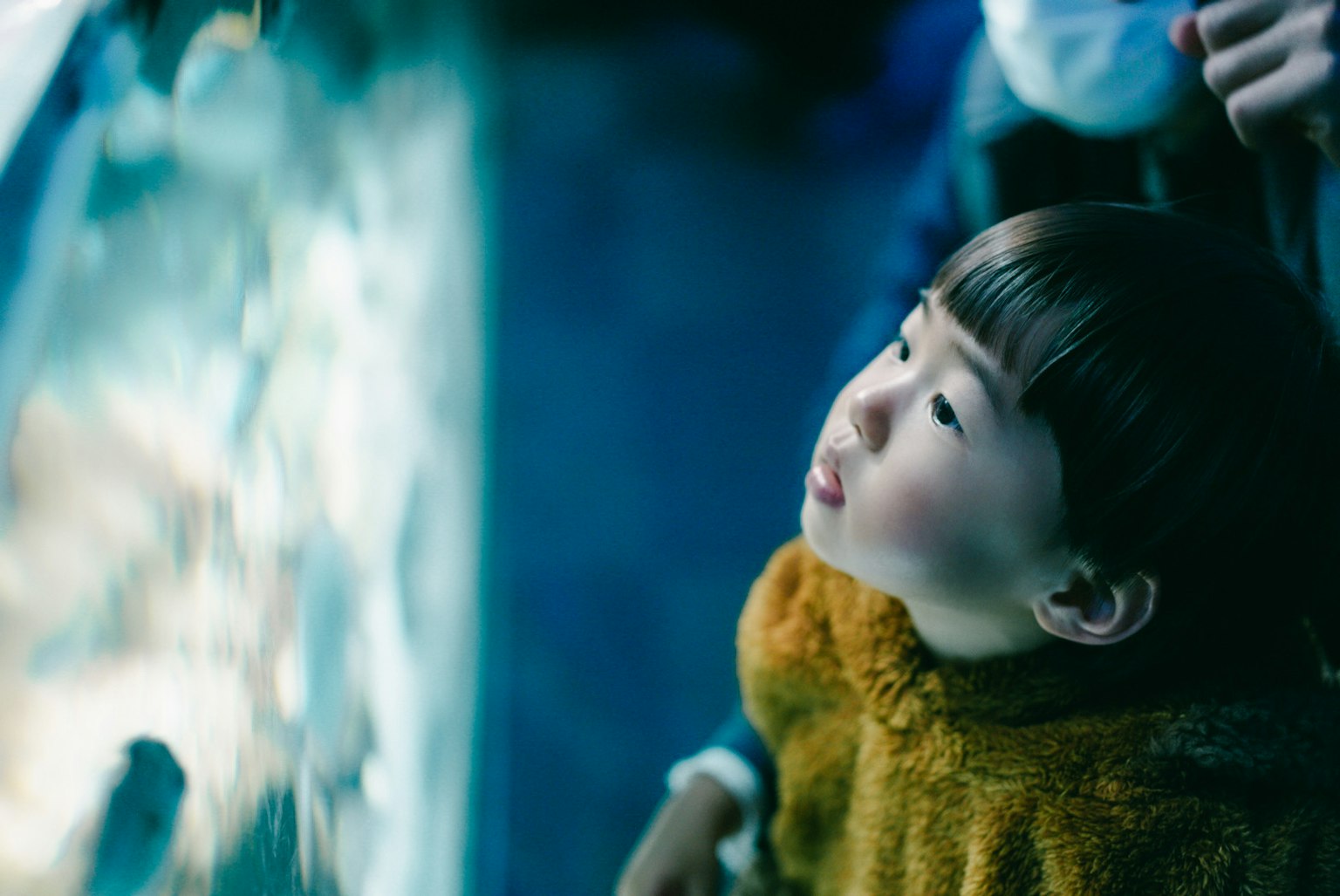 Niño mirando peces en un acuario iluminado por luz azul