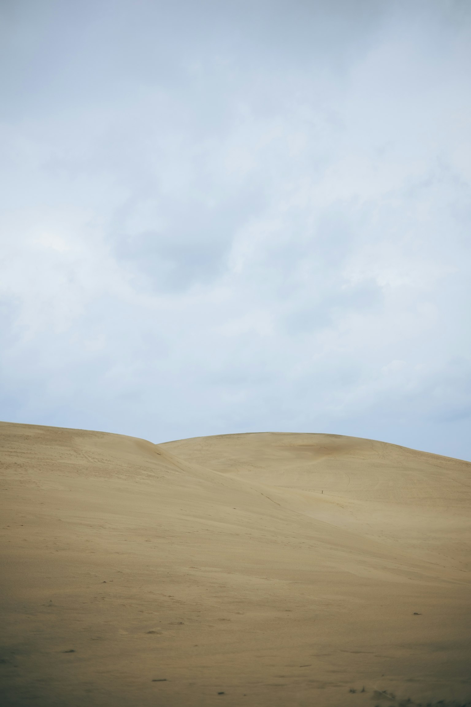 Weite Sanddünen unter einem bewölkten Himmel