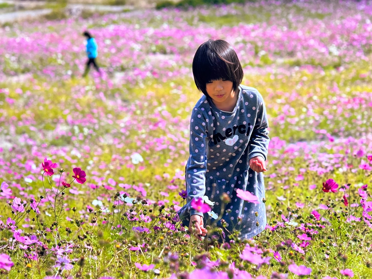 Kind, das Blumen auf einem lebhaften Blumenfeld pflückt, mit einem anderen Kind im Hintergrund