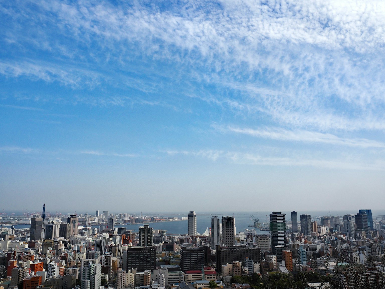 城市全景藍天和雲朵高樓大廈的景色