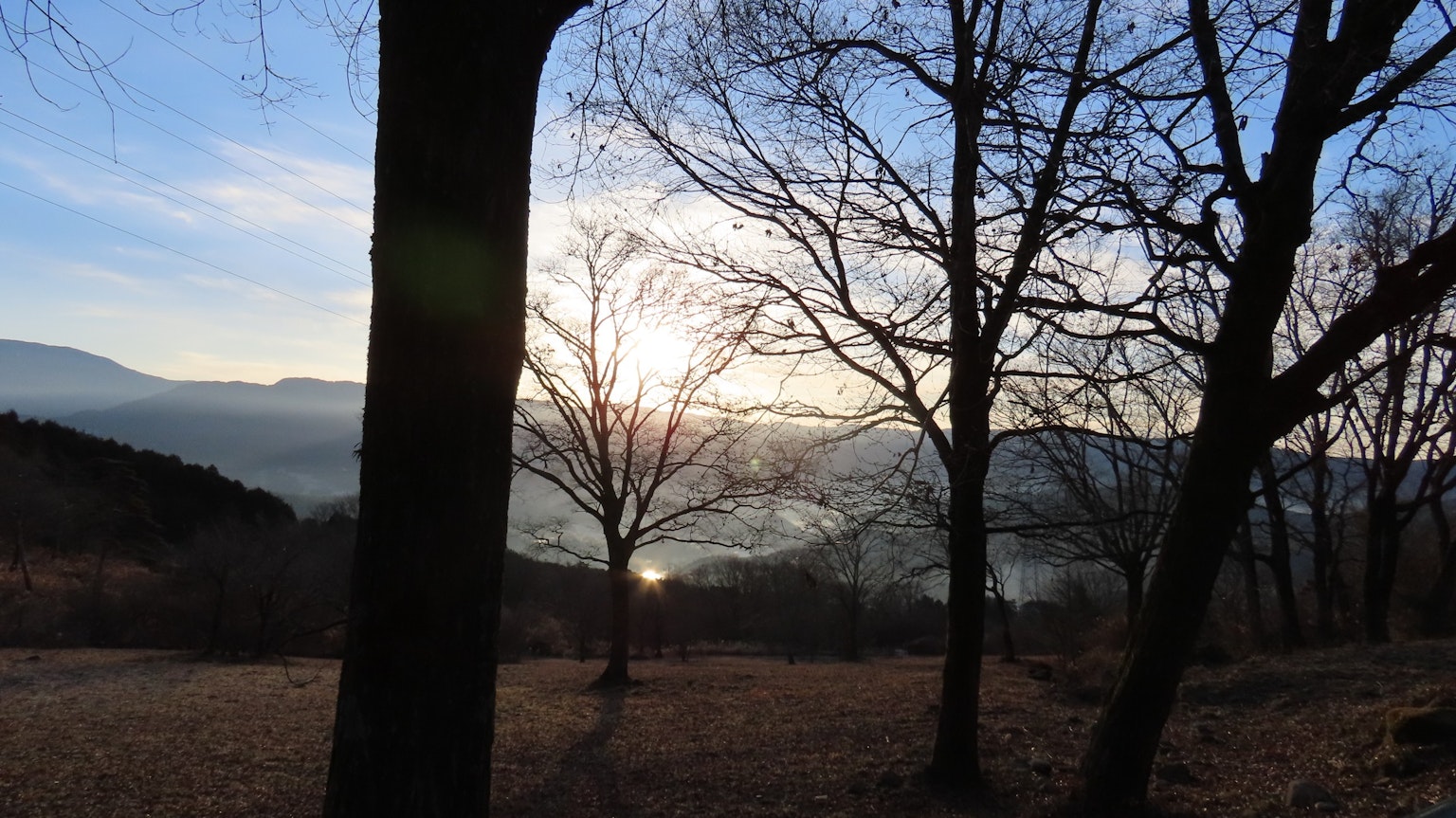 Amanecer con árboles en silueta y colinas distantes