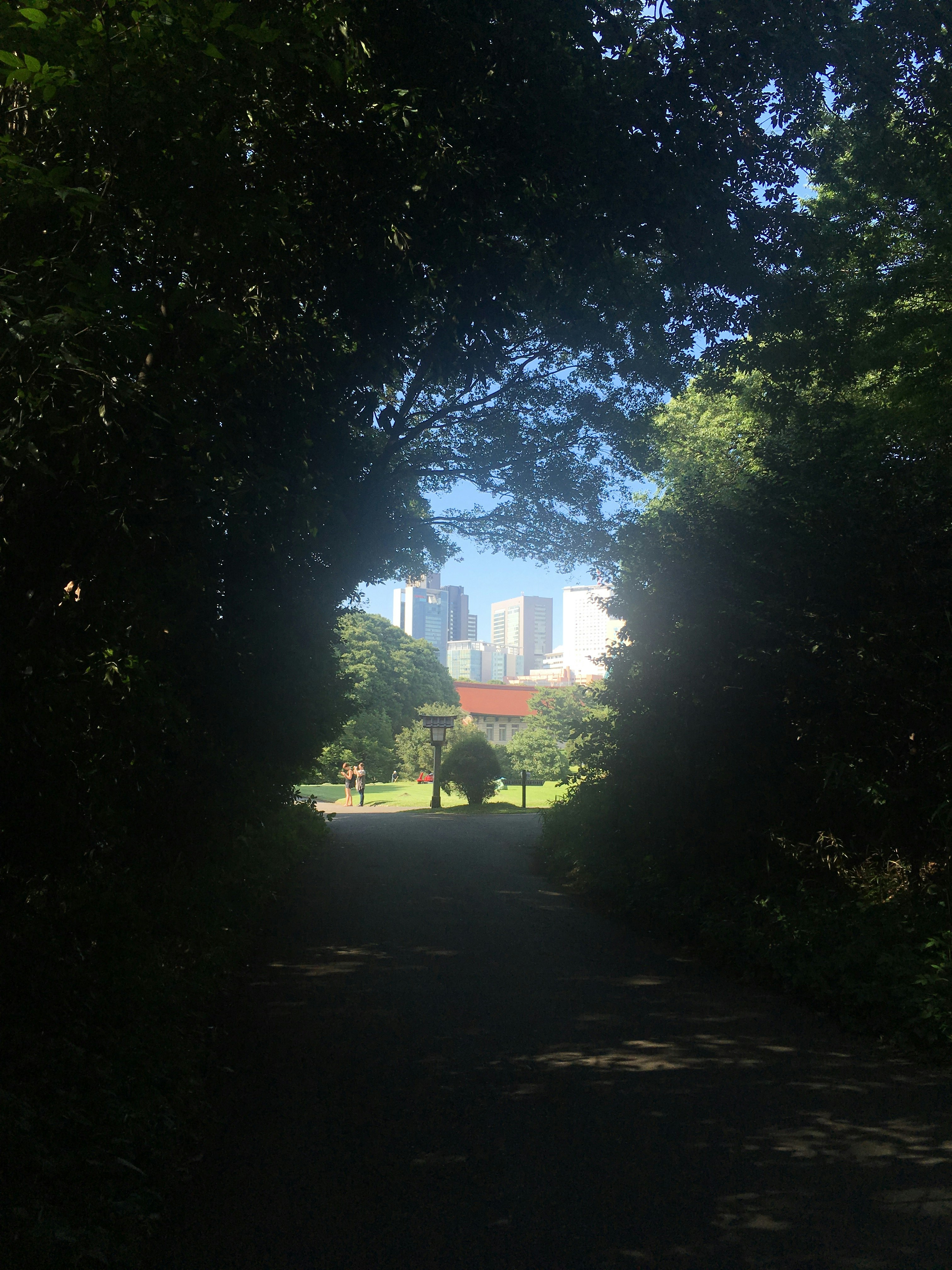 樹木間框景的校園草坪與建築景觀