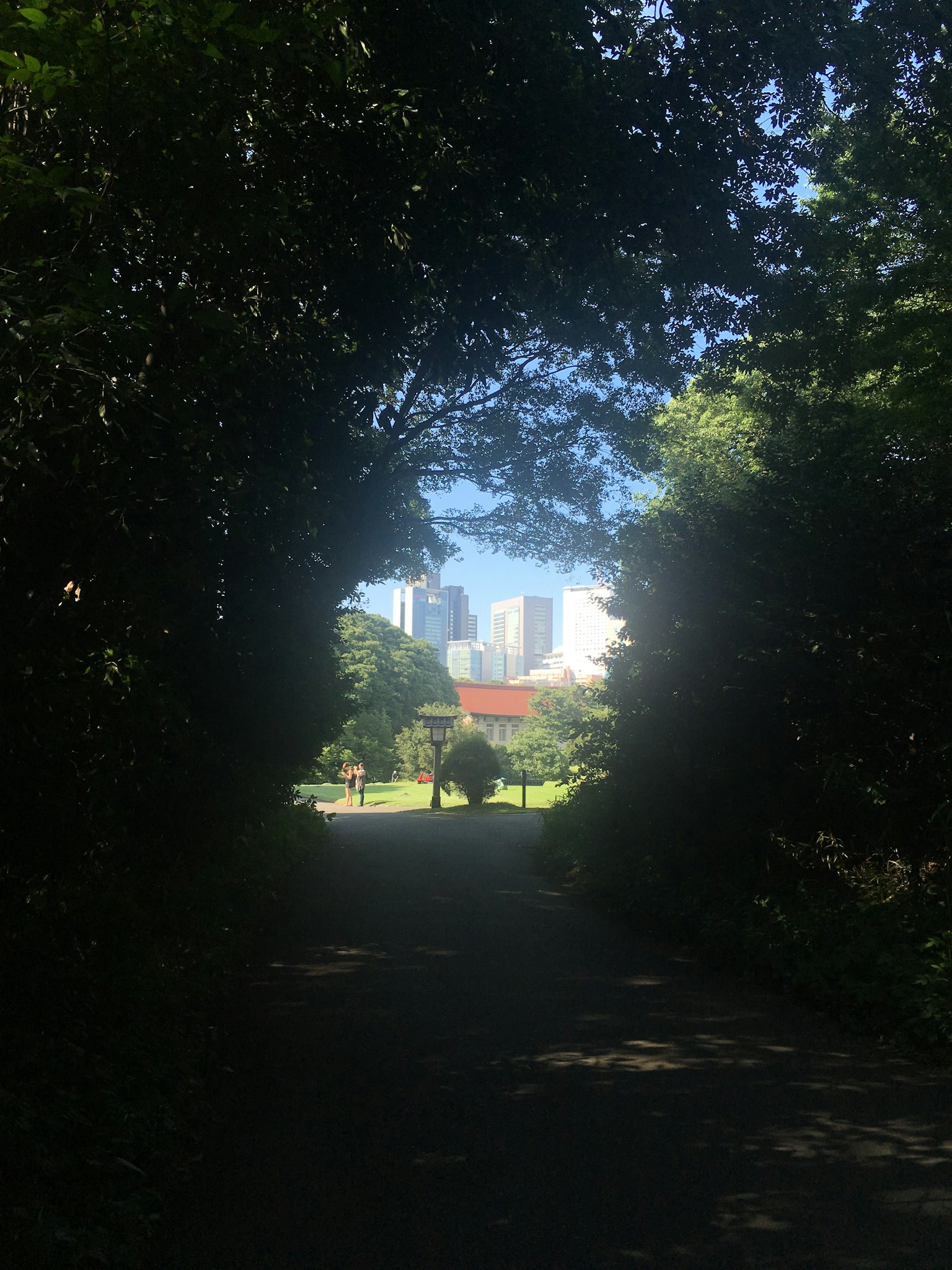 Städtische Skyline durch Bäume mit blauem Himmel sichtbar