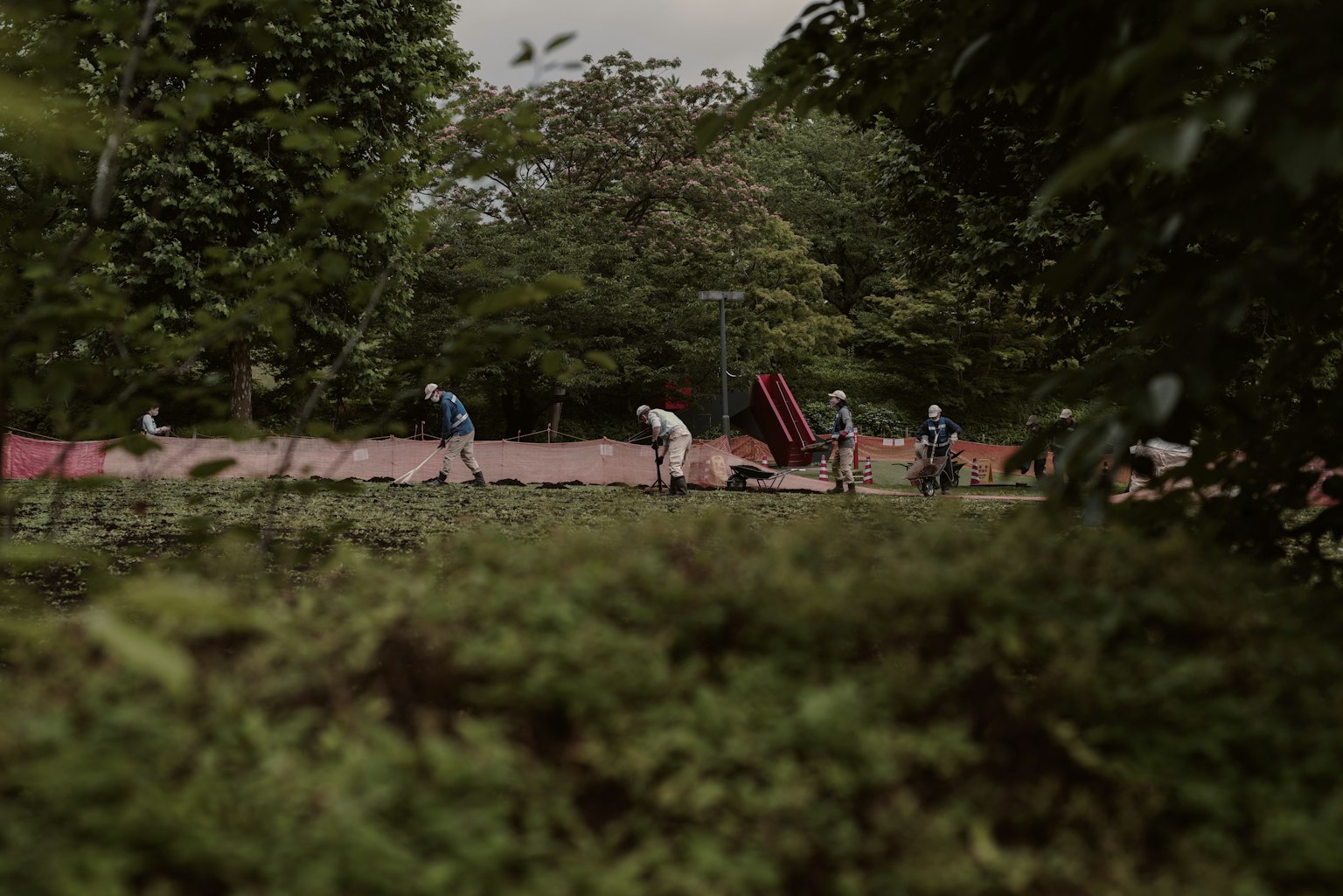 Group of people working in a lush green environment