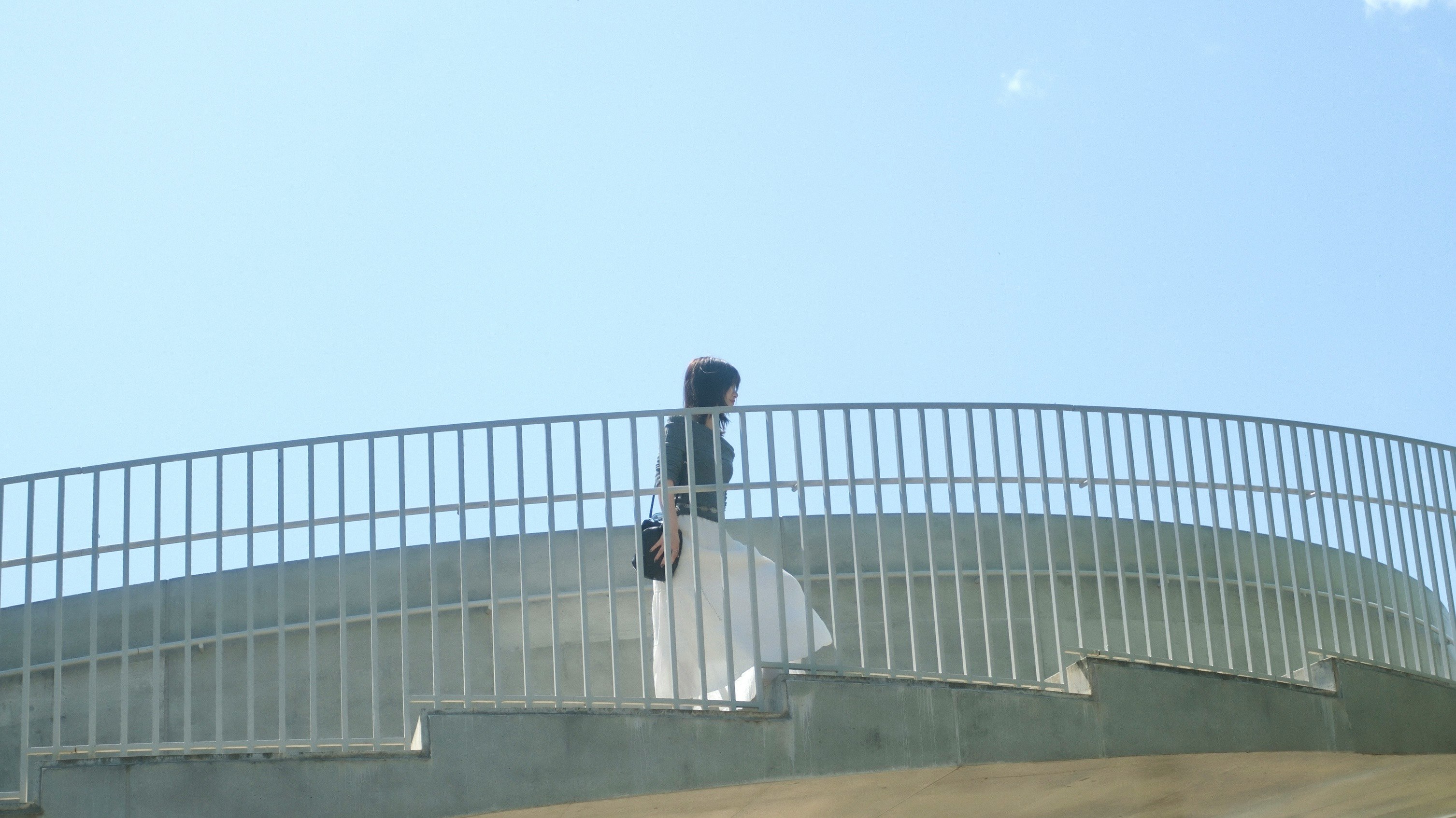 展望デッキの手すりに立つ人物と青空