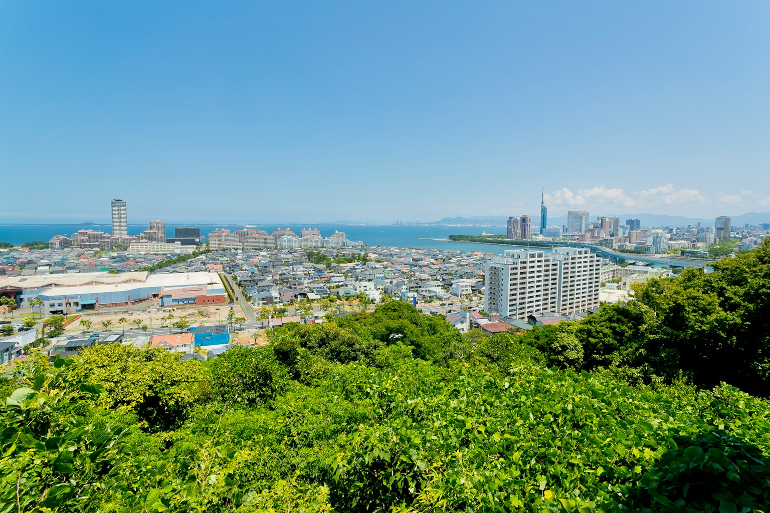 ทิวทัศน์แบบพาโนรามาของเมืองจากเนินเขาสีเขียวมีทะเลและตึกระฟ้า