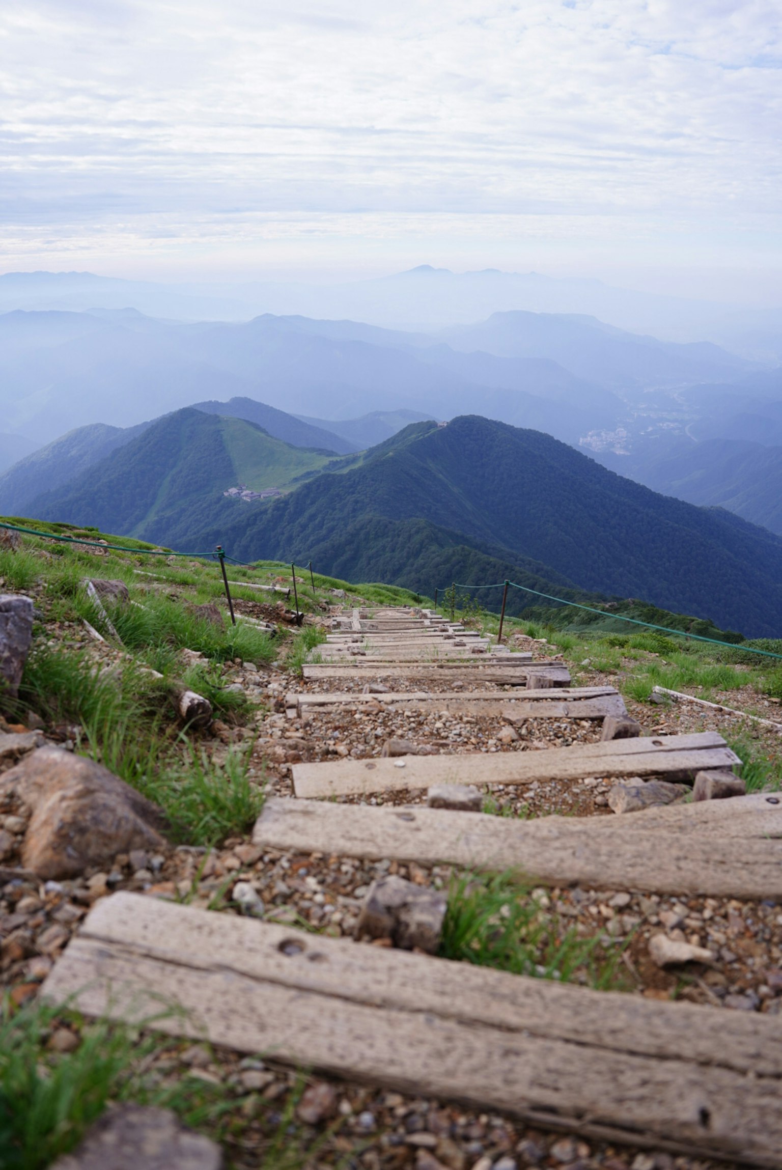 Escaliers en bois le long d'un sentier de montagne avec une verdure luxuriante